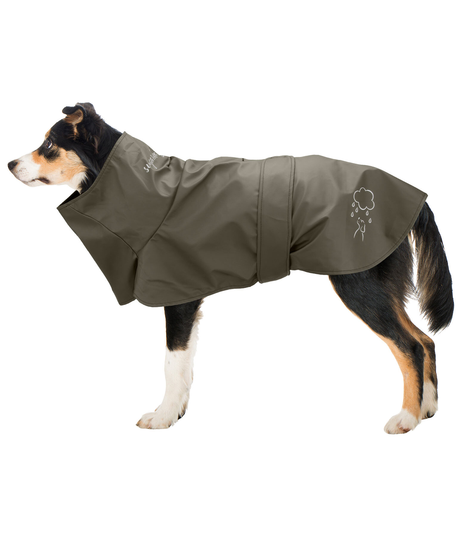 Rain Dog Coat Everglades, 0g