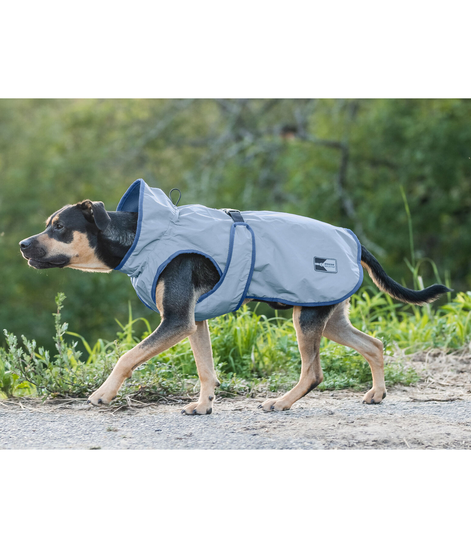 Reflective Dog Coat Safety First, 0g