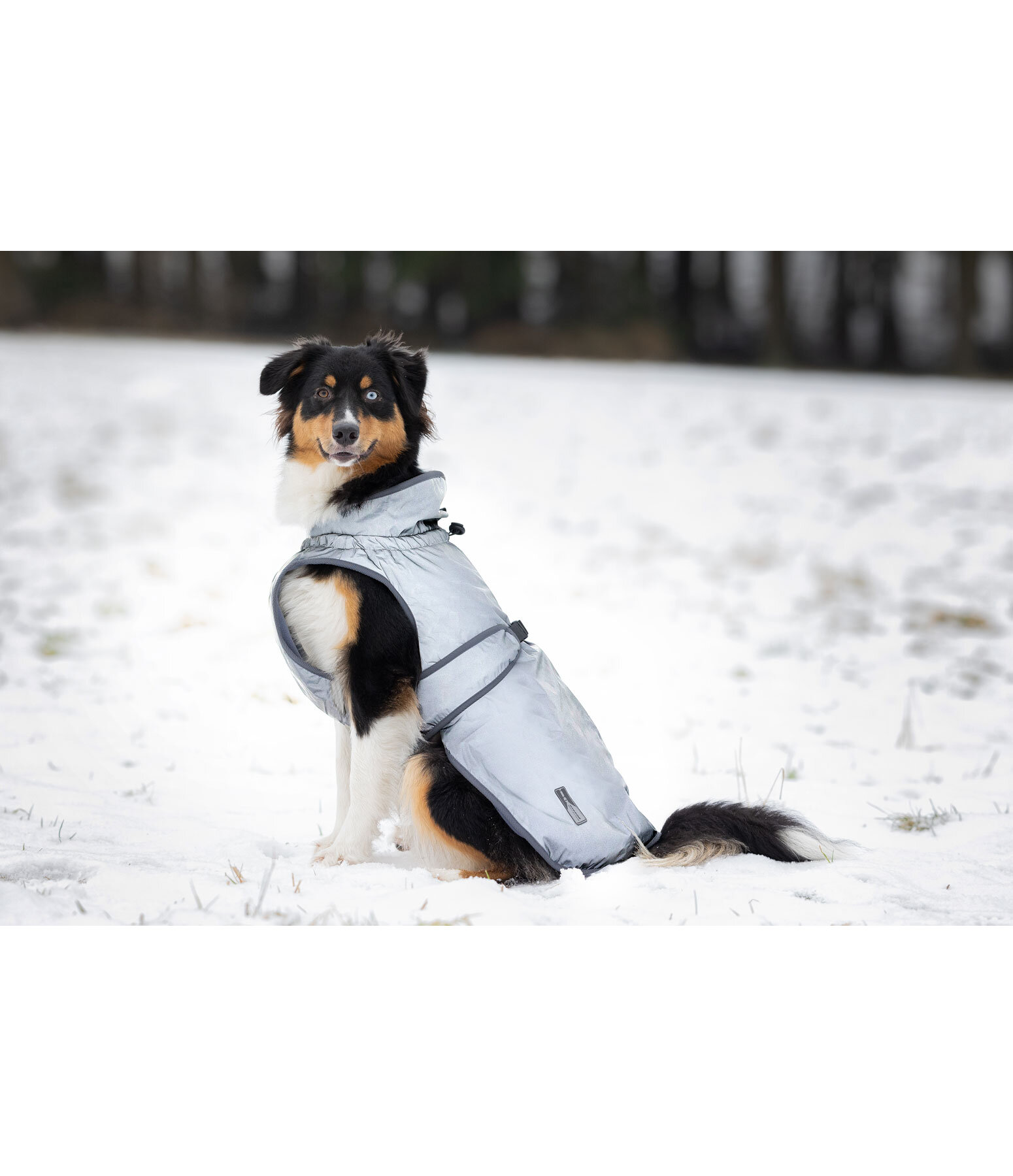 Reflective Dog Coat Safety First, 0g