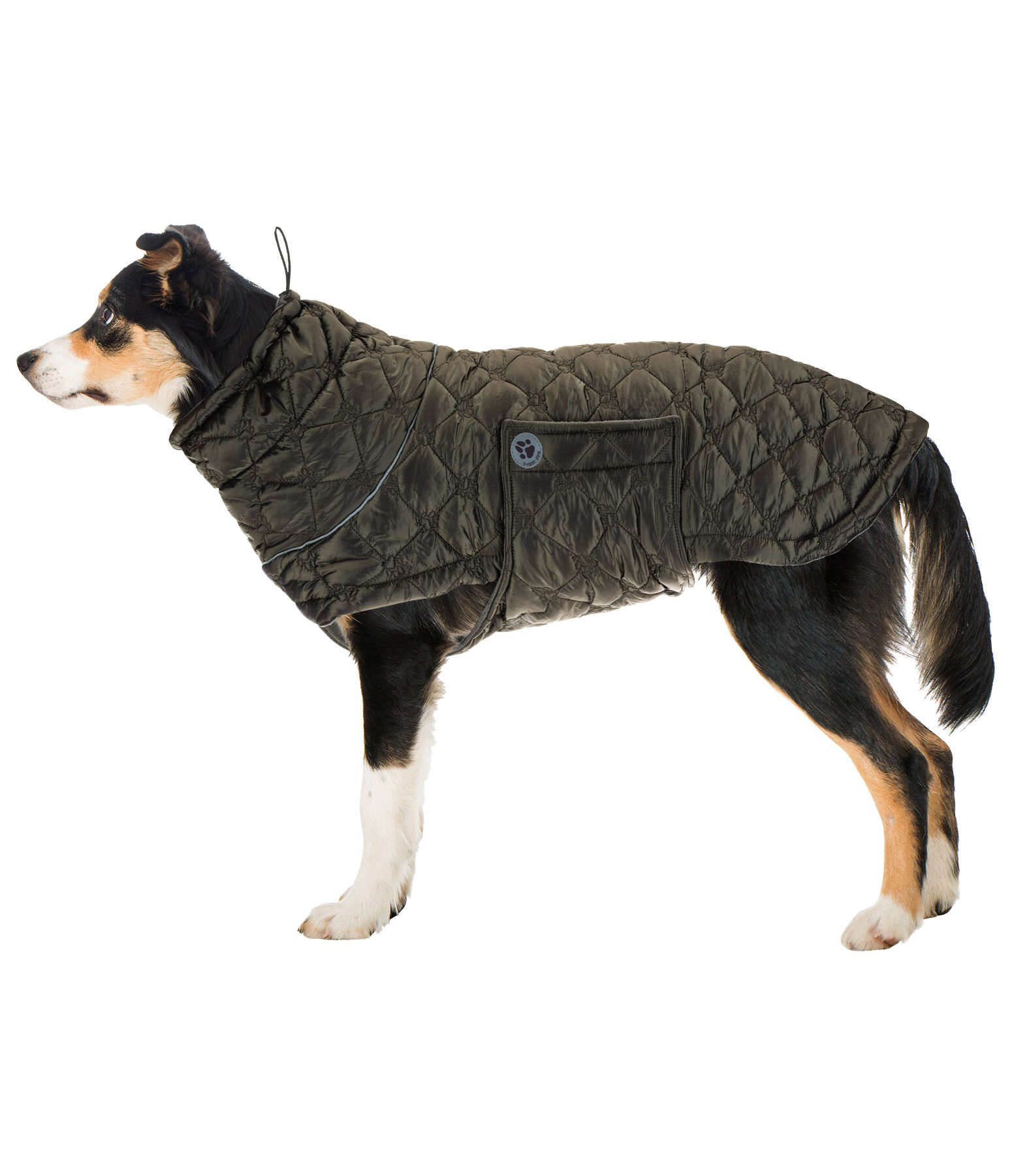 Lightweight Quilted Dog Jacket Cliff with Fleece Lining, 200g