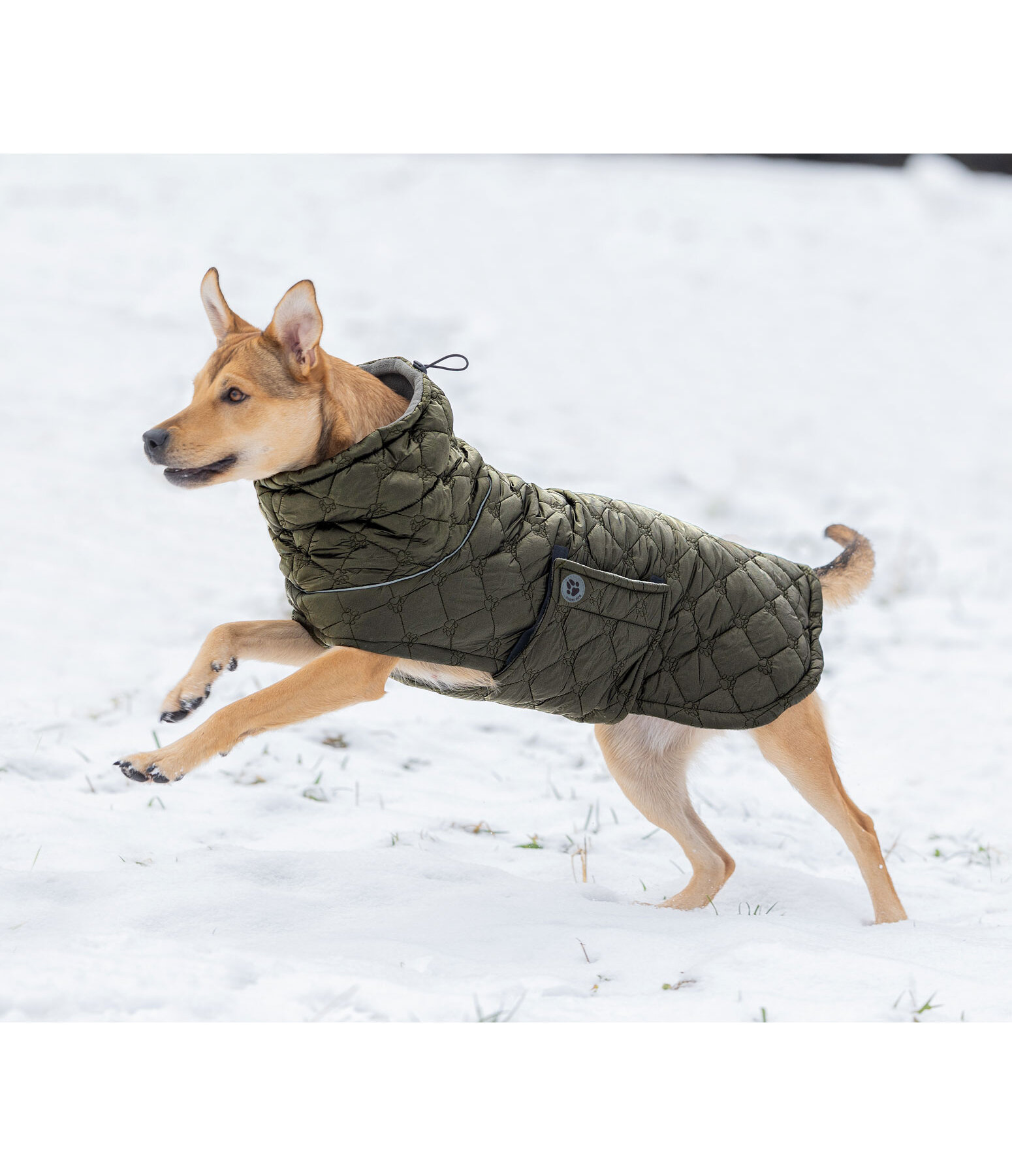 Lightweight Quilted Dog Jacket Cliff with Fleece Lining 200g