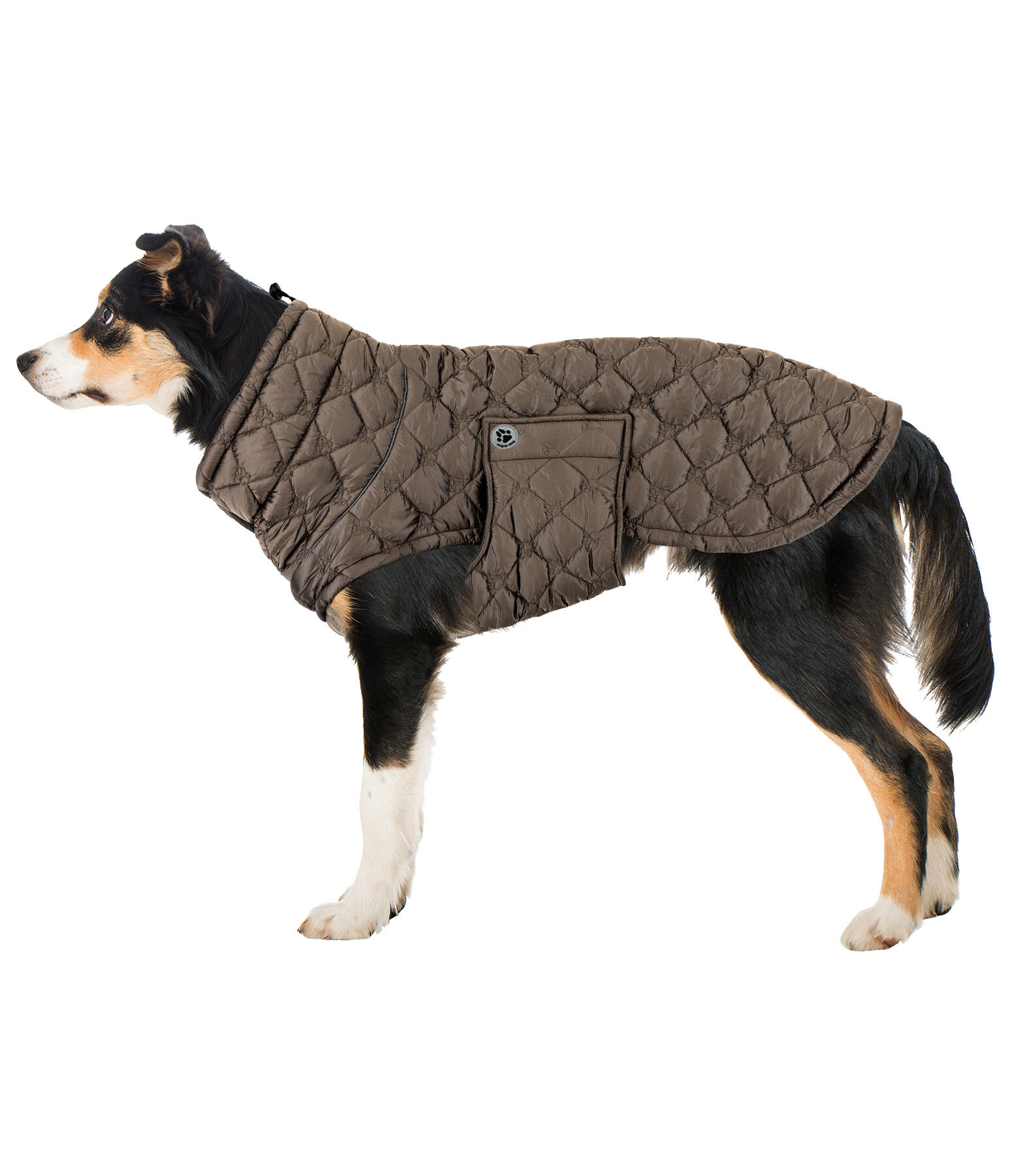 Lightweight Quilted Dog Jacket Cliff with Fleece Lining, 200g