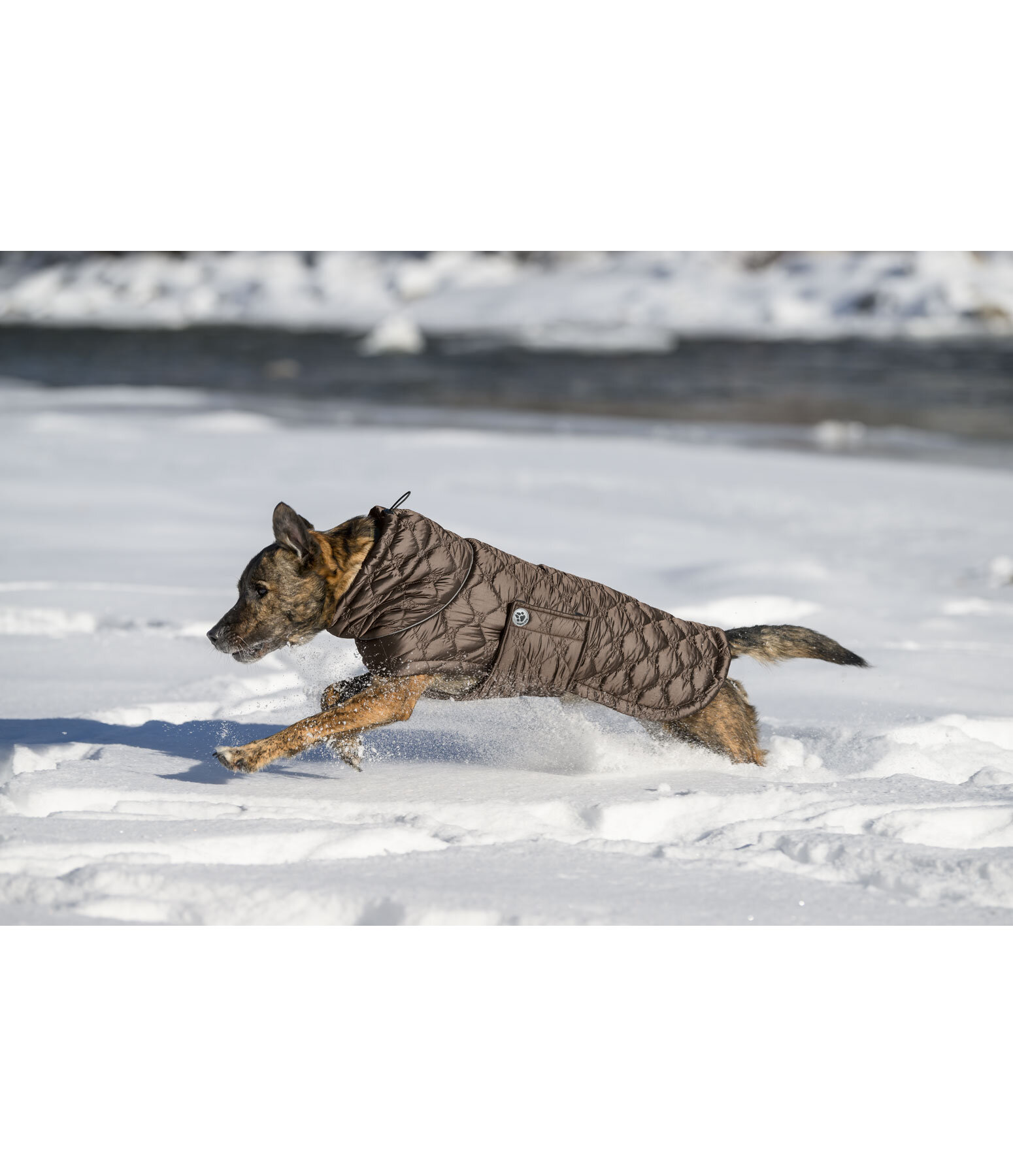 Lightweight Quilted Dog Jacket Cliff with Fleece Lining, 200g