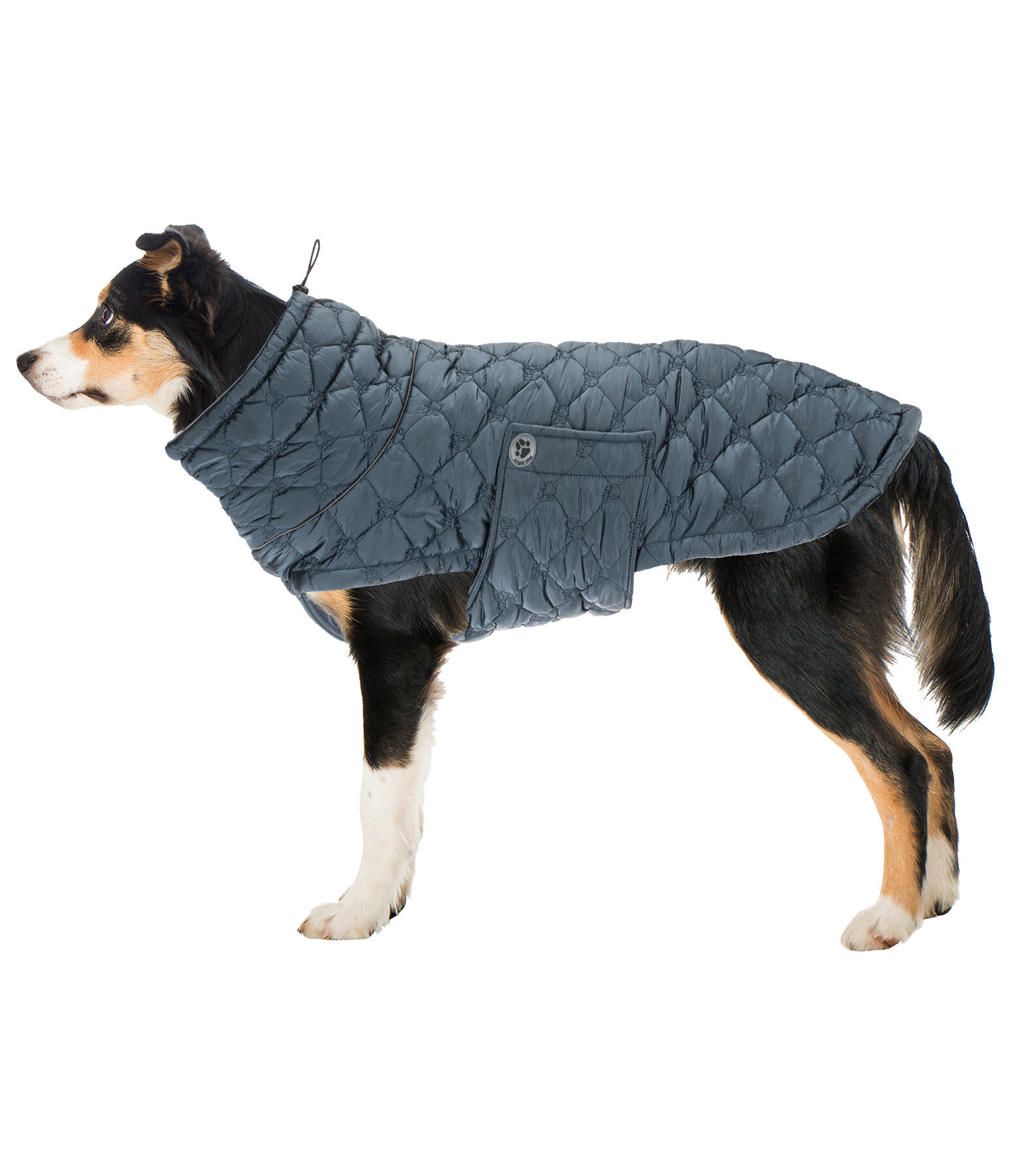 Lightweight dog coat outlet