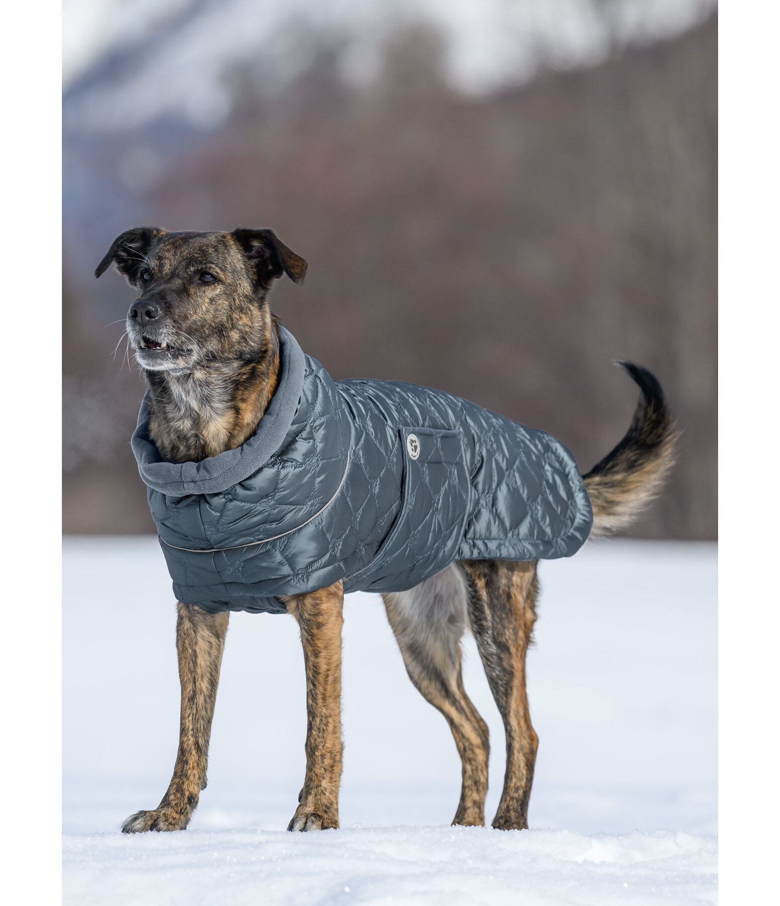 Lightweight Quilted Dog Jacket Cliff with Fleece Lining 200g