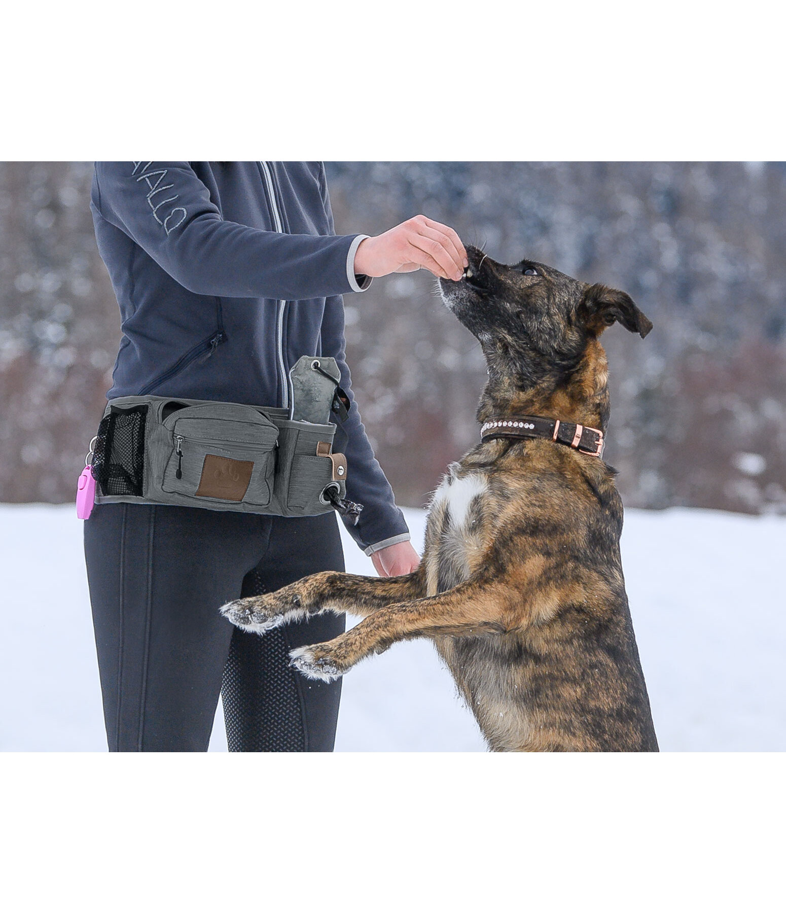 Dog Training Hip Bag Obedience