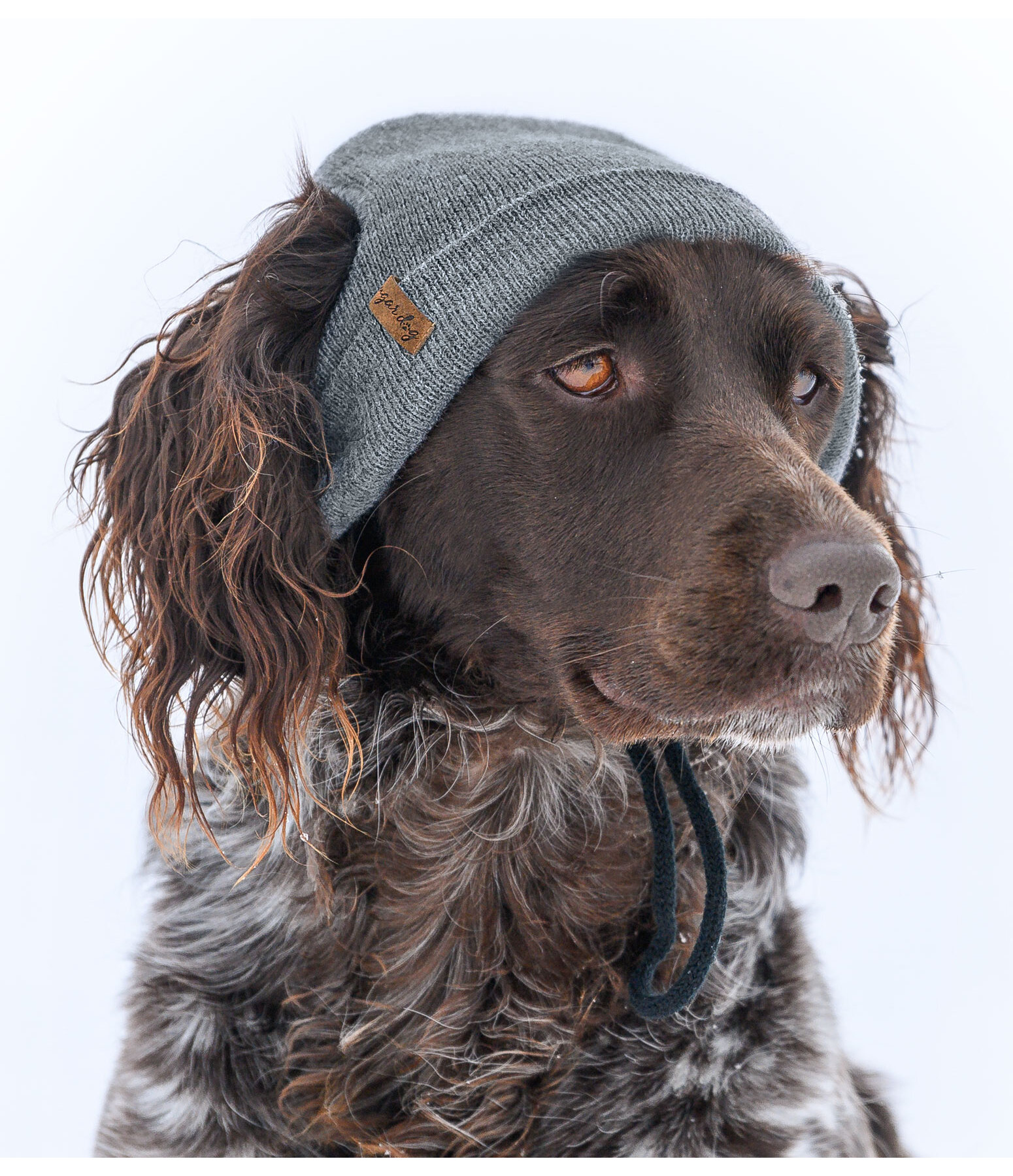 Dog Beanie Evin