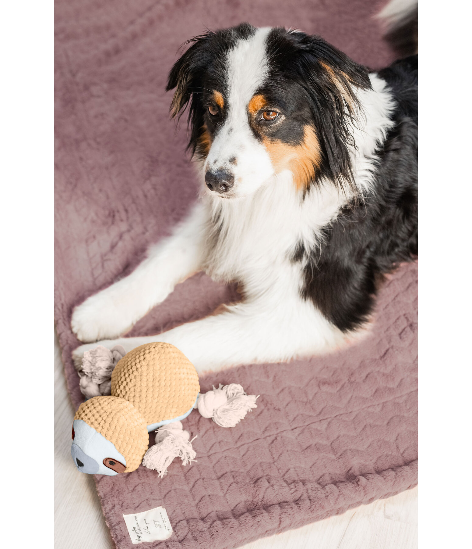 Dog Snuggle Blanket Chill Dog Beds & Cushions Kramer Equestrian