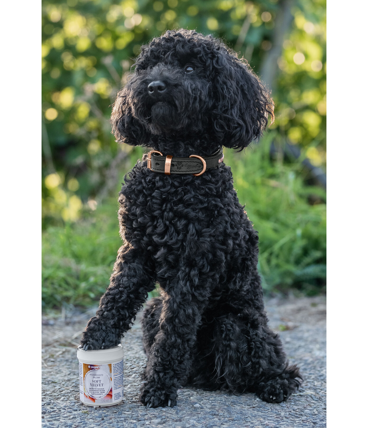 Paw Protection Dog Balm Soft Velvet