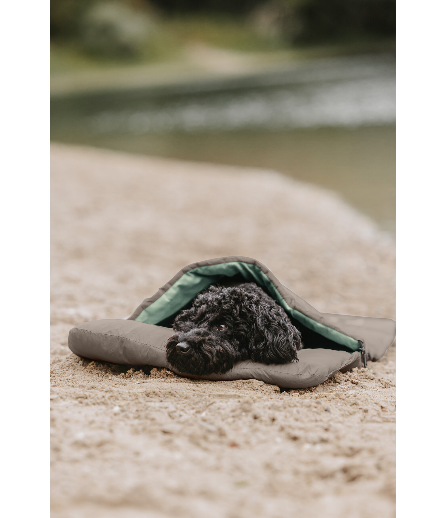 Dog Sleeping Bag Adventure Seeker