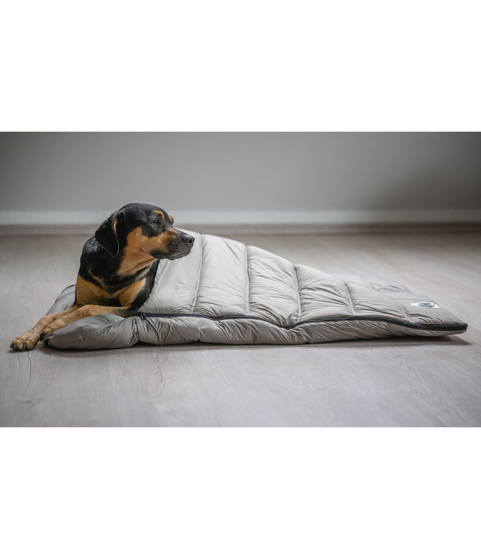 Dog Sleeping Bag Adventure Seeker