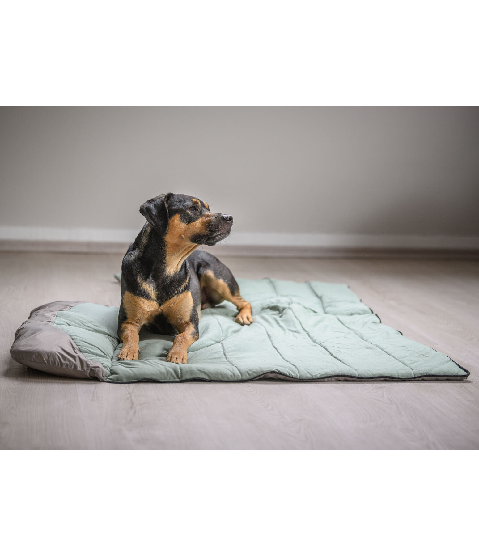 Dog Sleeping Bag Adventure Seeker