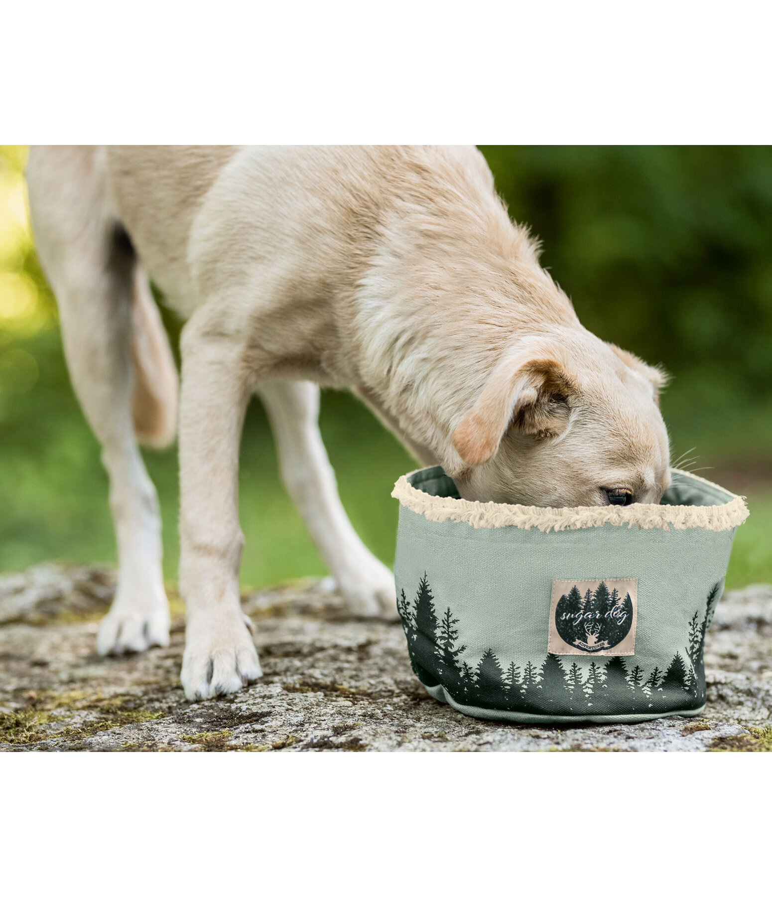 Canvas Dog Travel Bowl Adventure Seeker