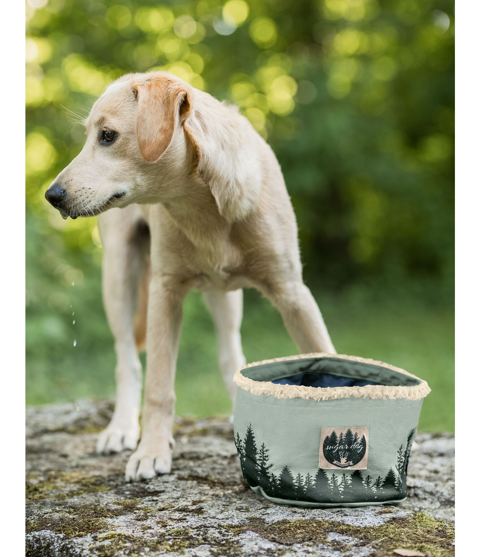 Canvas Dog Travel Bowl Adventure Seeker