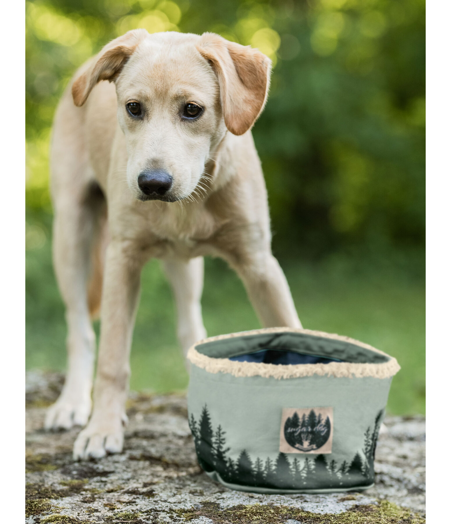 Canvas Dog Travel Bowl Adventure Seeker