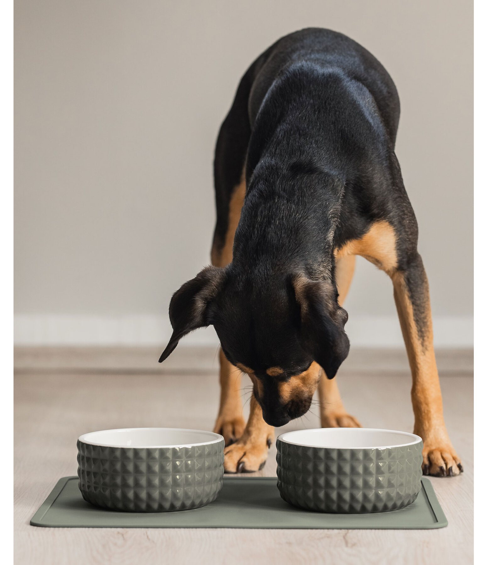 Ceramic Dog Bowl Berkeley