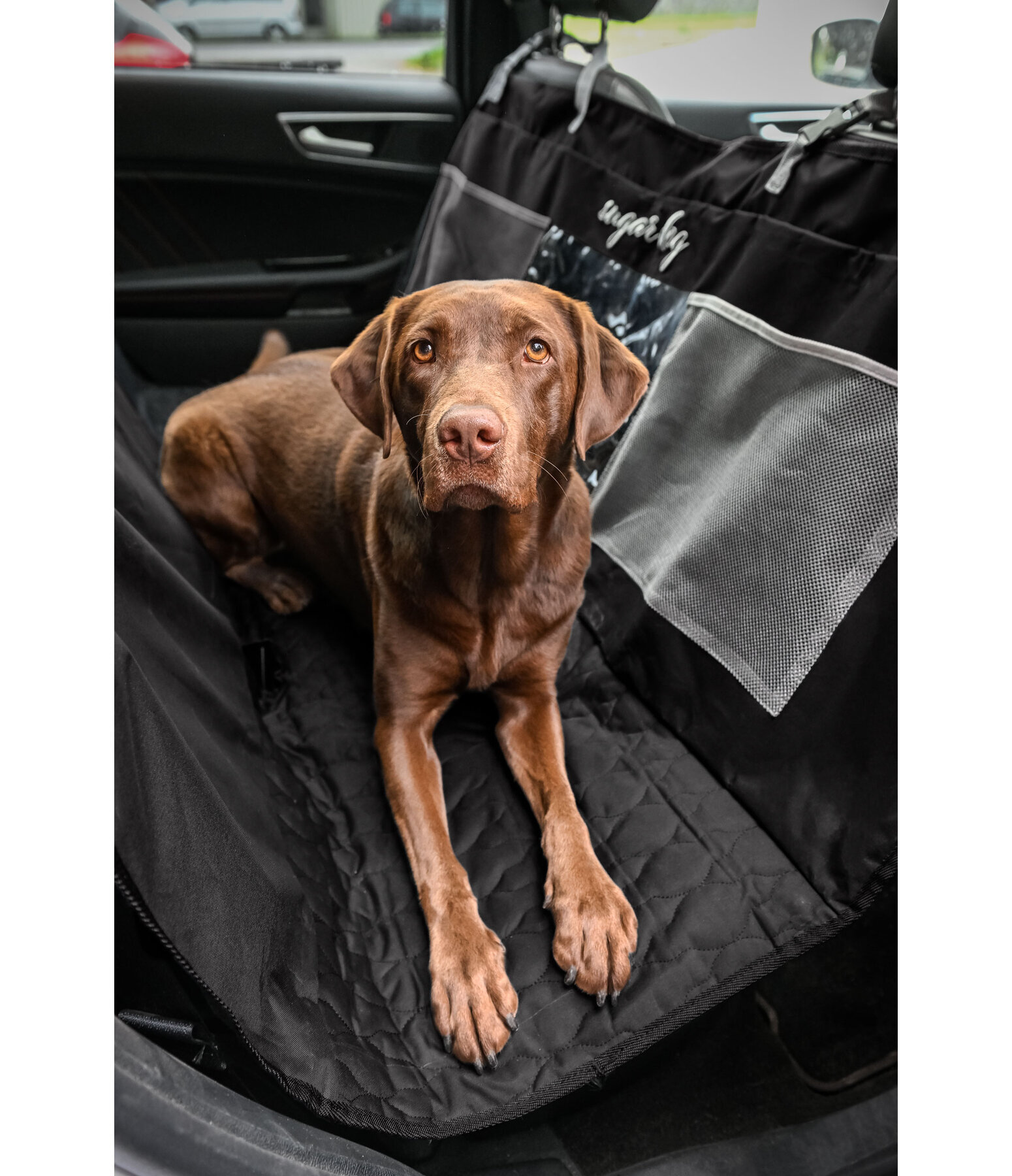 Universal Back Seat Protector Road Trip For Dogs