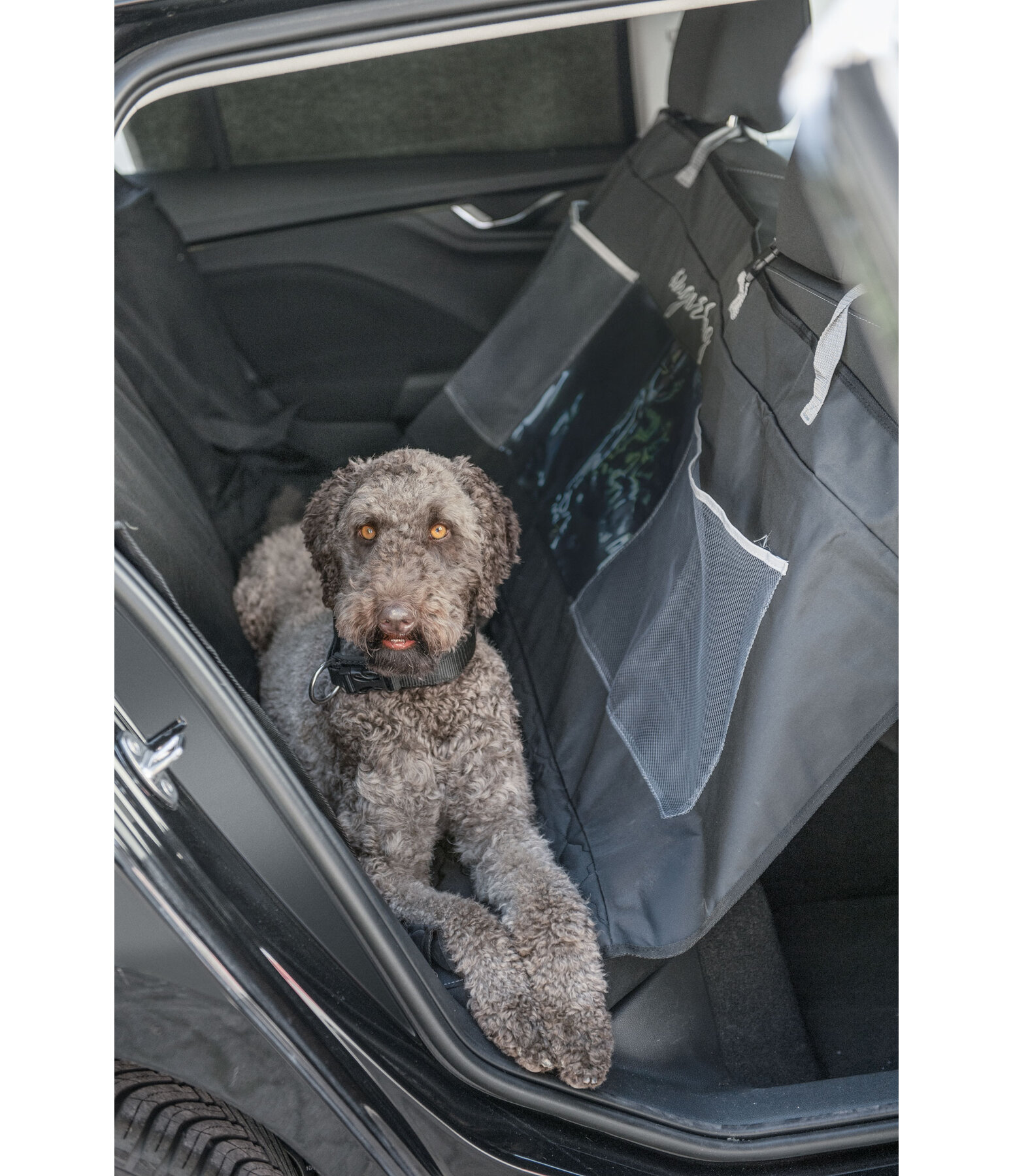 Universal Back Seat Protector Road Trip For Dogs