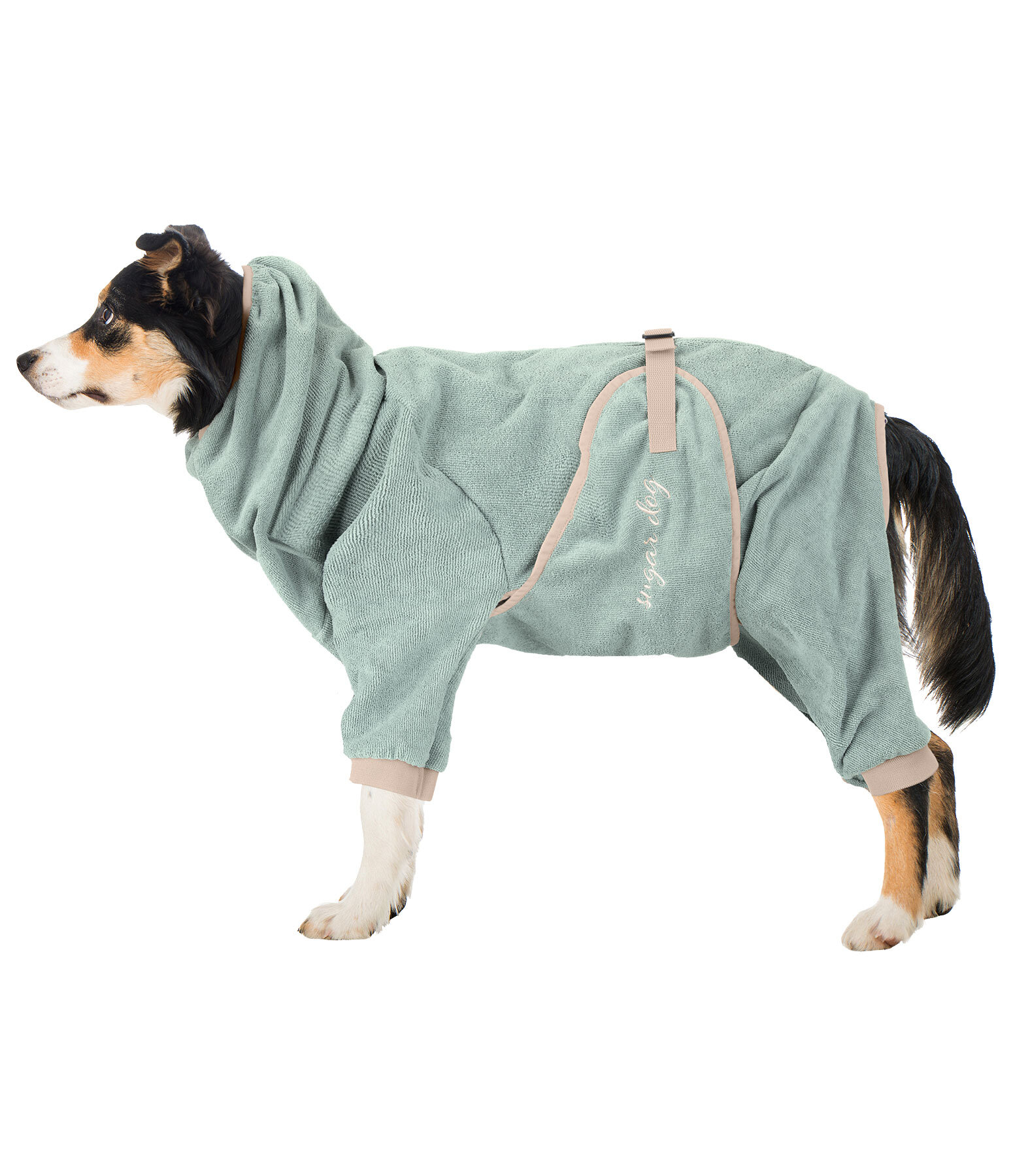 Dog hotsell in bathrobe