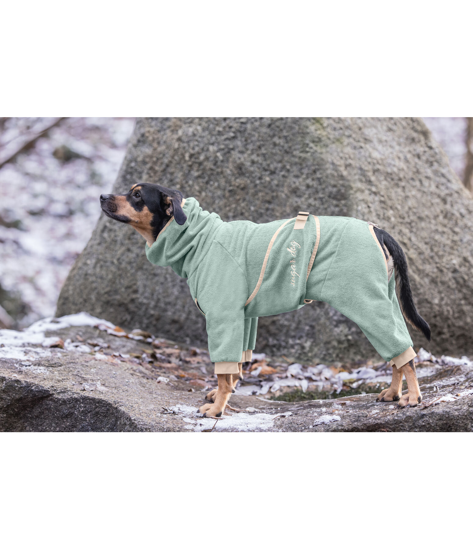 Dog Bathrobe Allover Dry