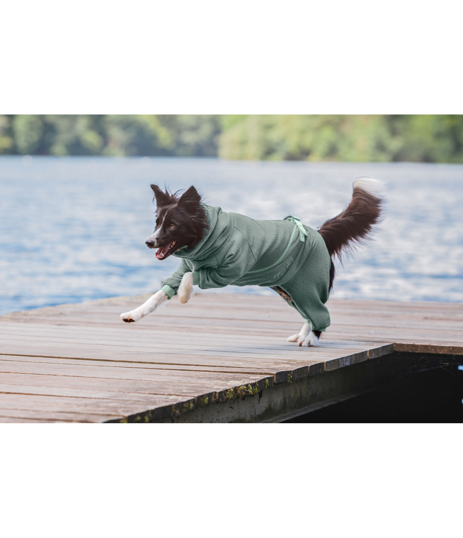 Dog Bathrobe Allover Dry