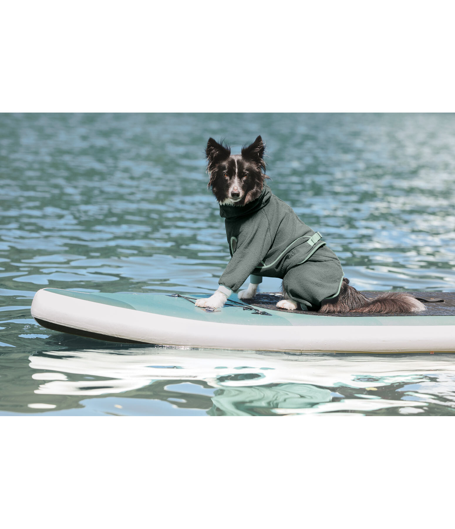 Dog Bathrobe Allover Dry