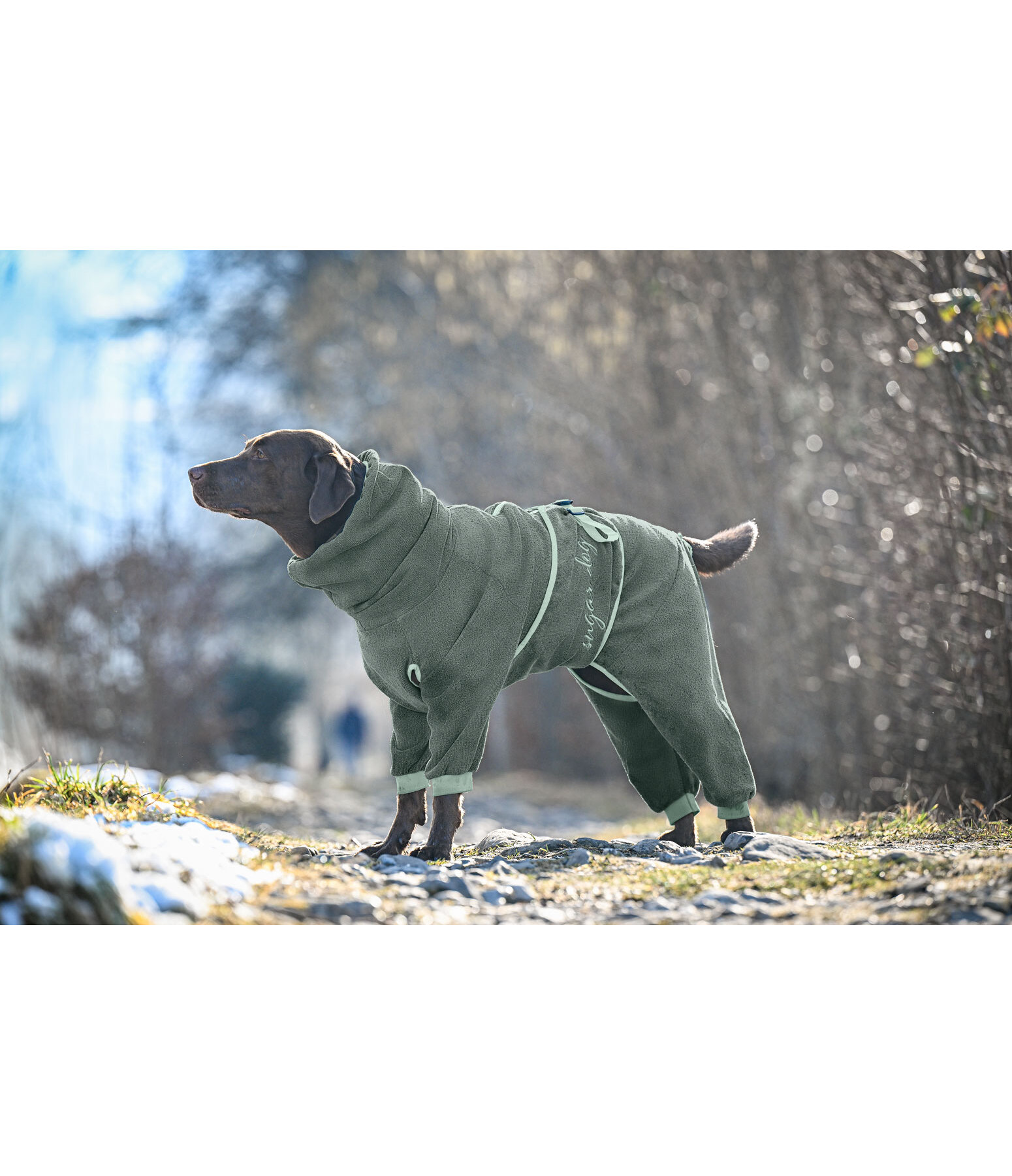 Dog Bathrobe All-Over Dry