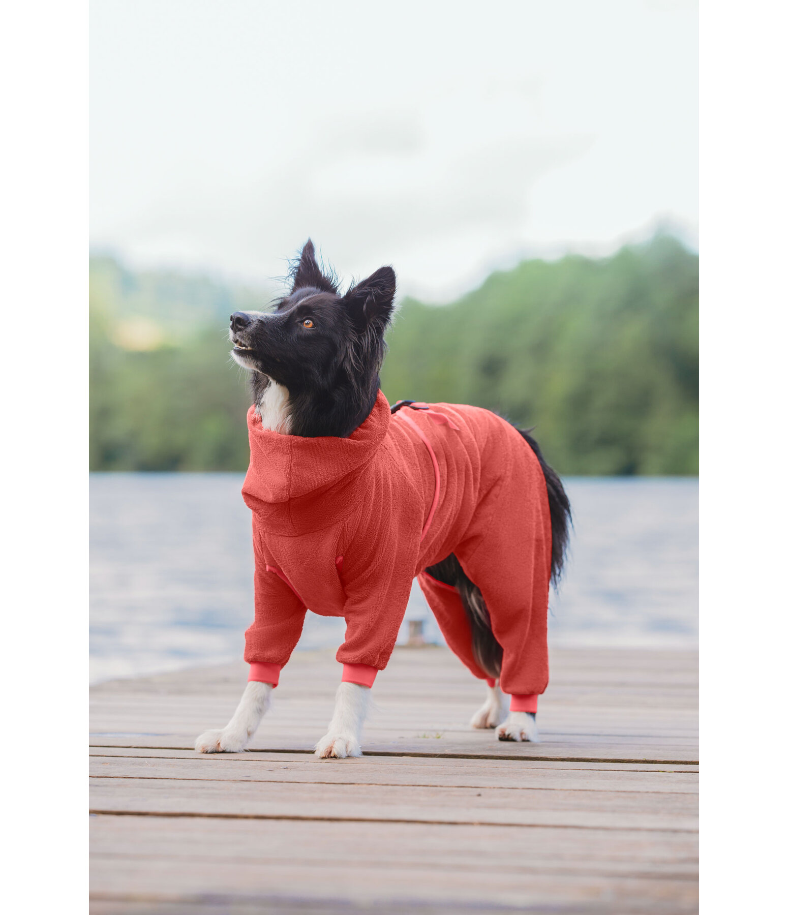 Dog Bathrobe Allover Dry