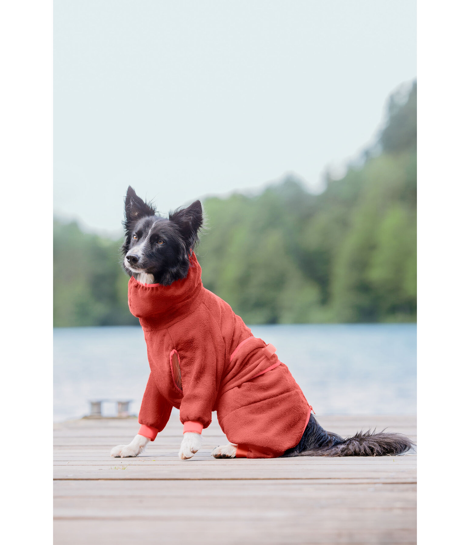 Dog Bathrobe Allover Dry