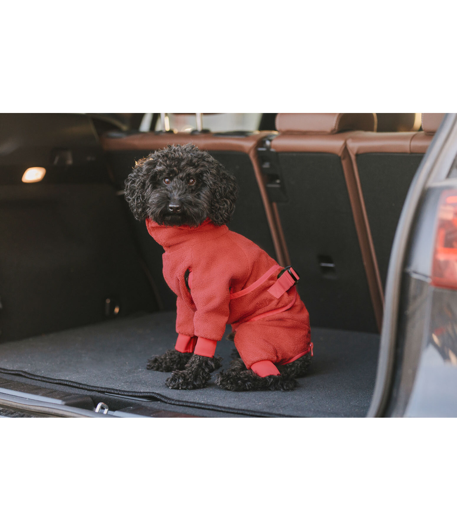 Dog Bathrobe All-Over Dry