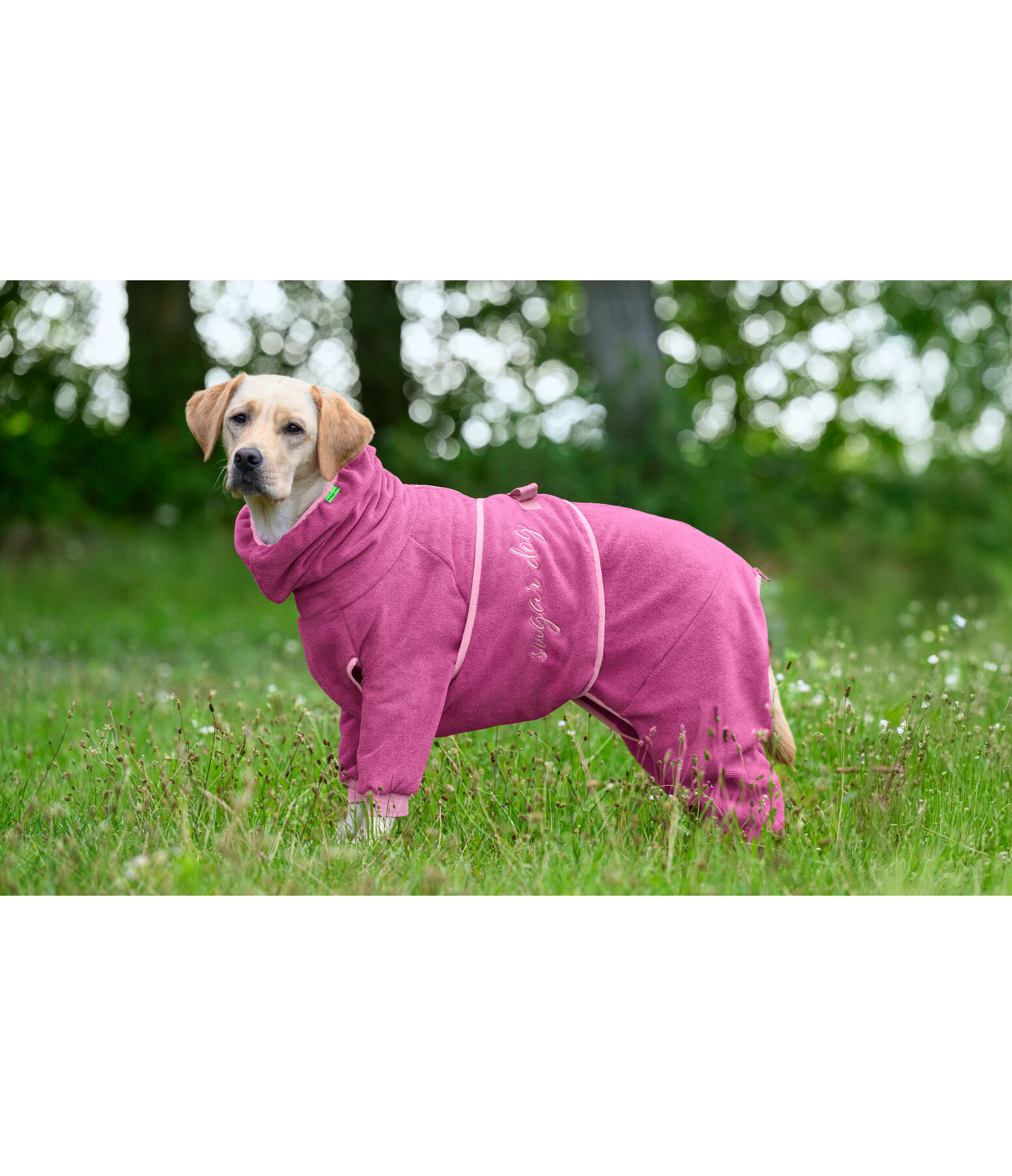 Dog Bathrobe All-Over Dry