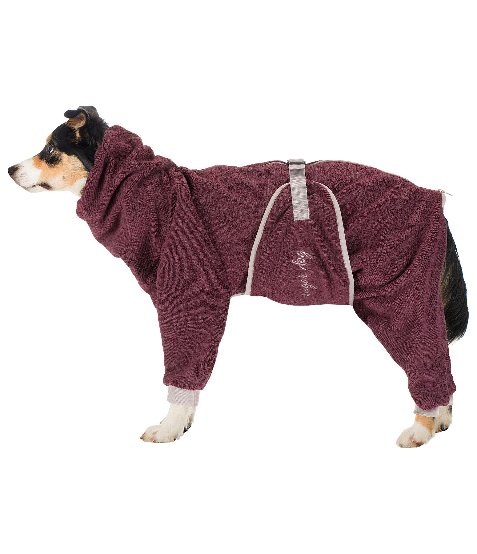 Dog Bathrobe All-Over Dry