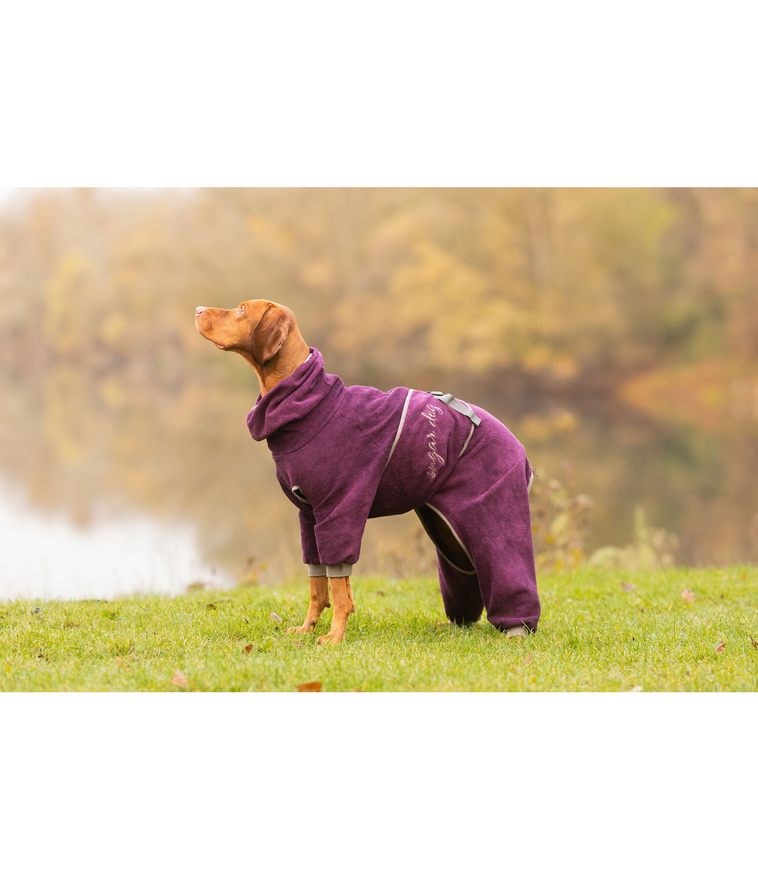 Dog Bathrobe All-Over Dry