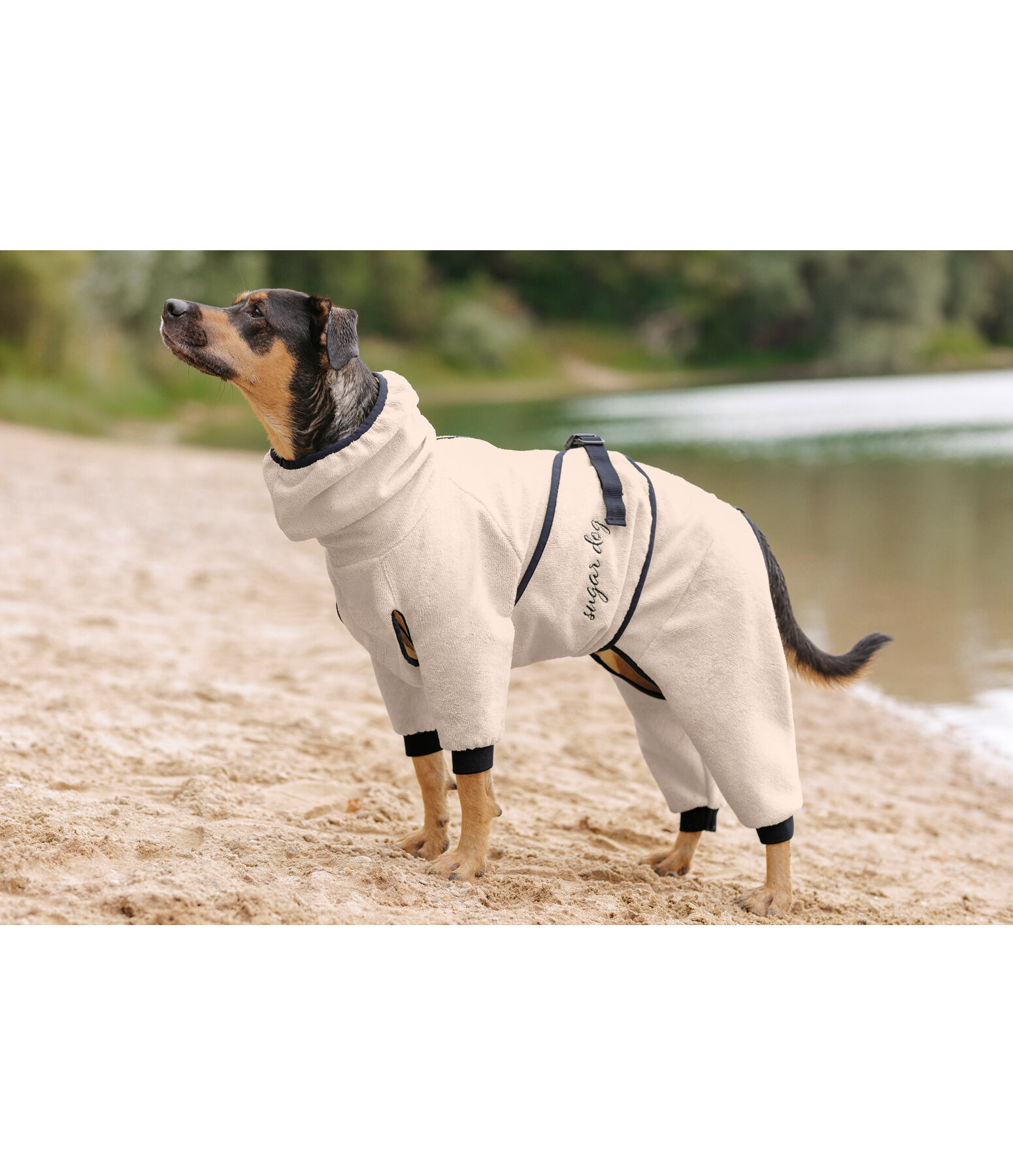 Dog Bathrobe Allover Dry