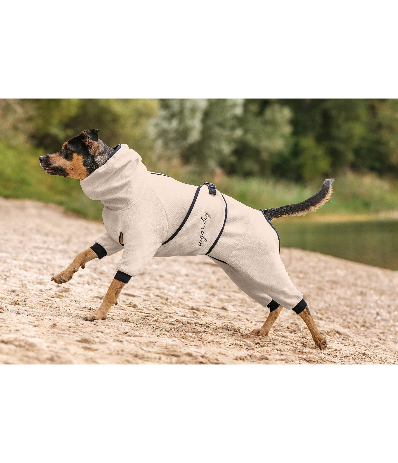 Dog Bathrobe Allover Dry