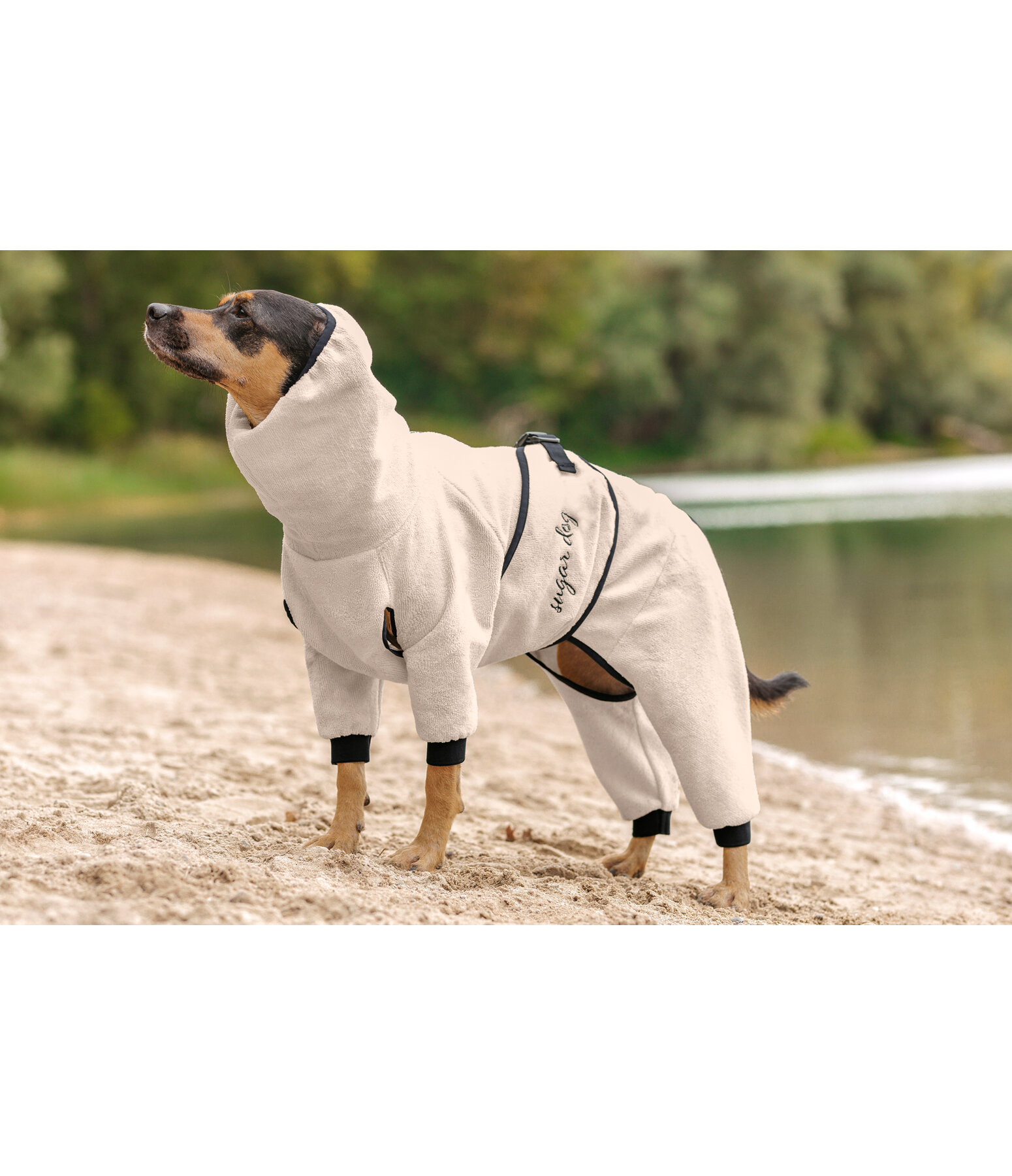 Dog Bathrobe Allover Dry