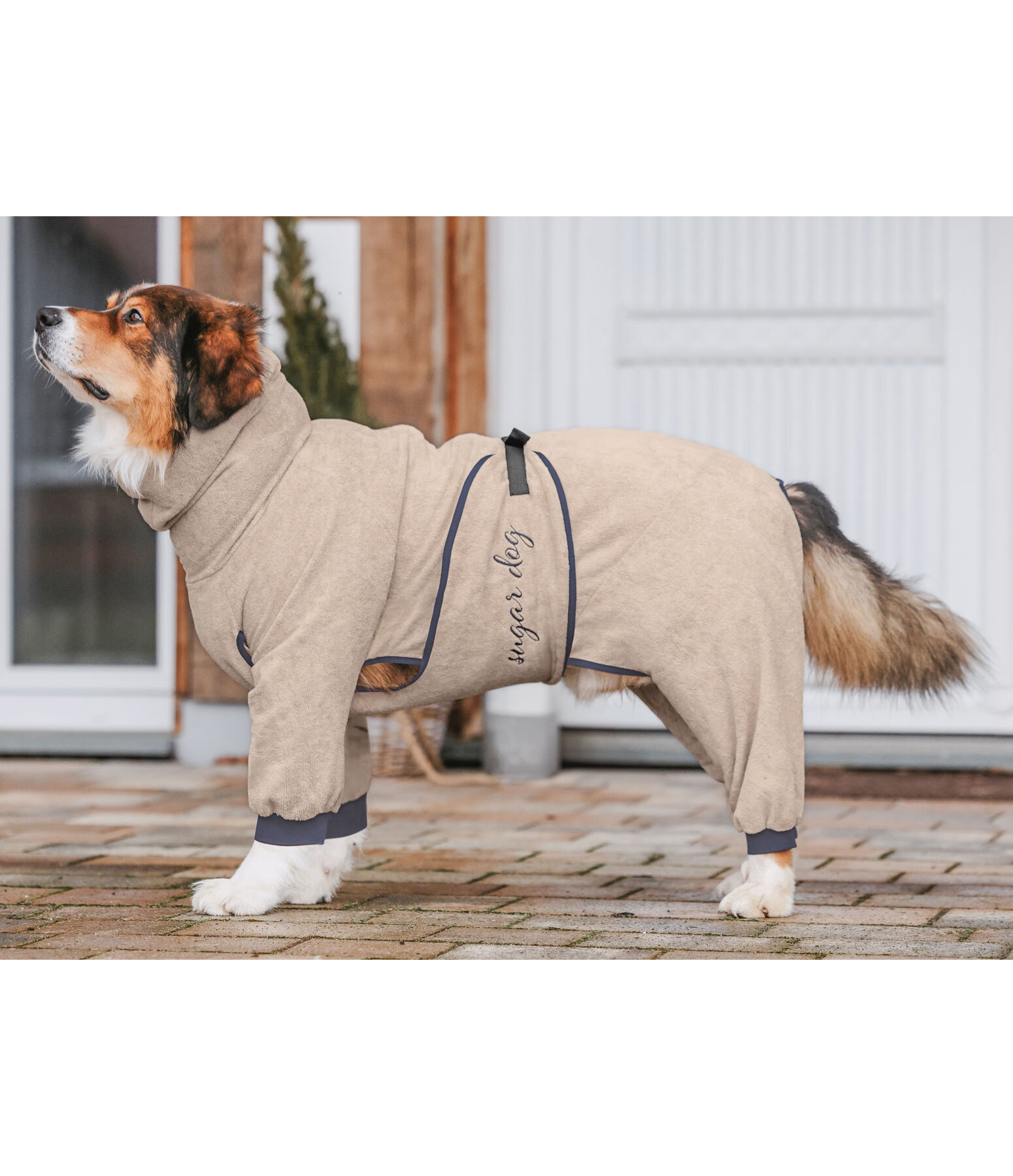 Dog Bathrobe Allover Dry