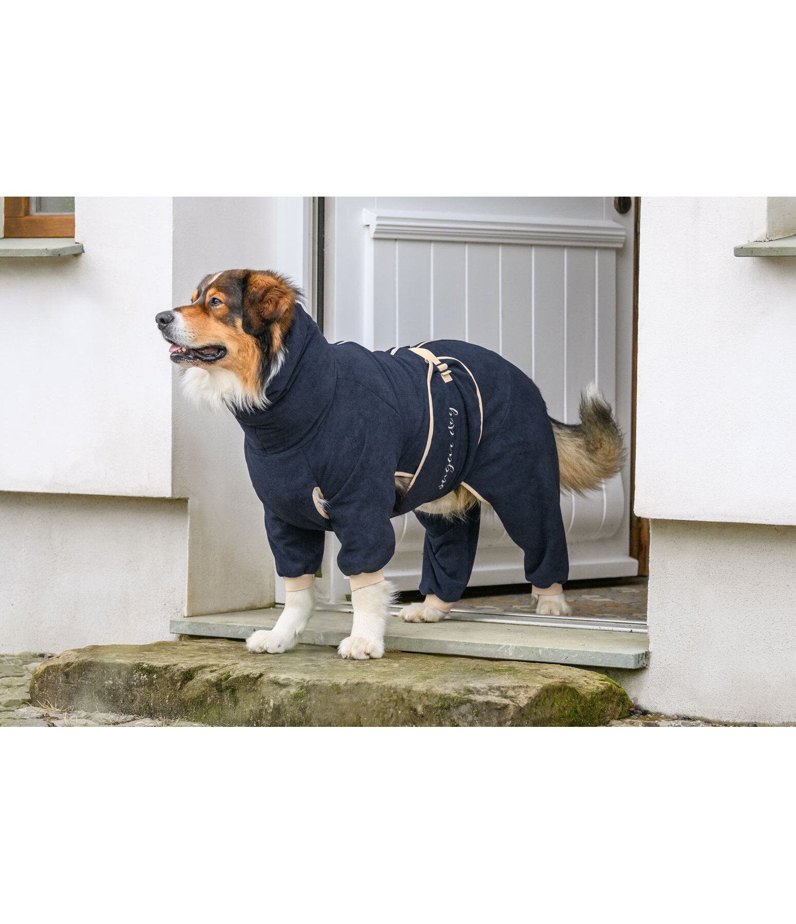 Dog Bathrobe Allover Dry