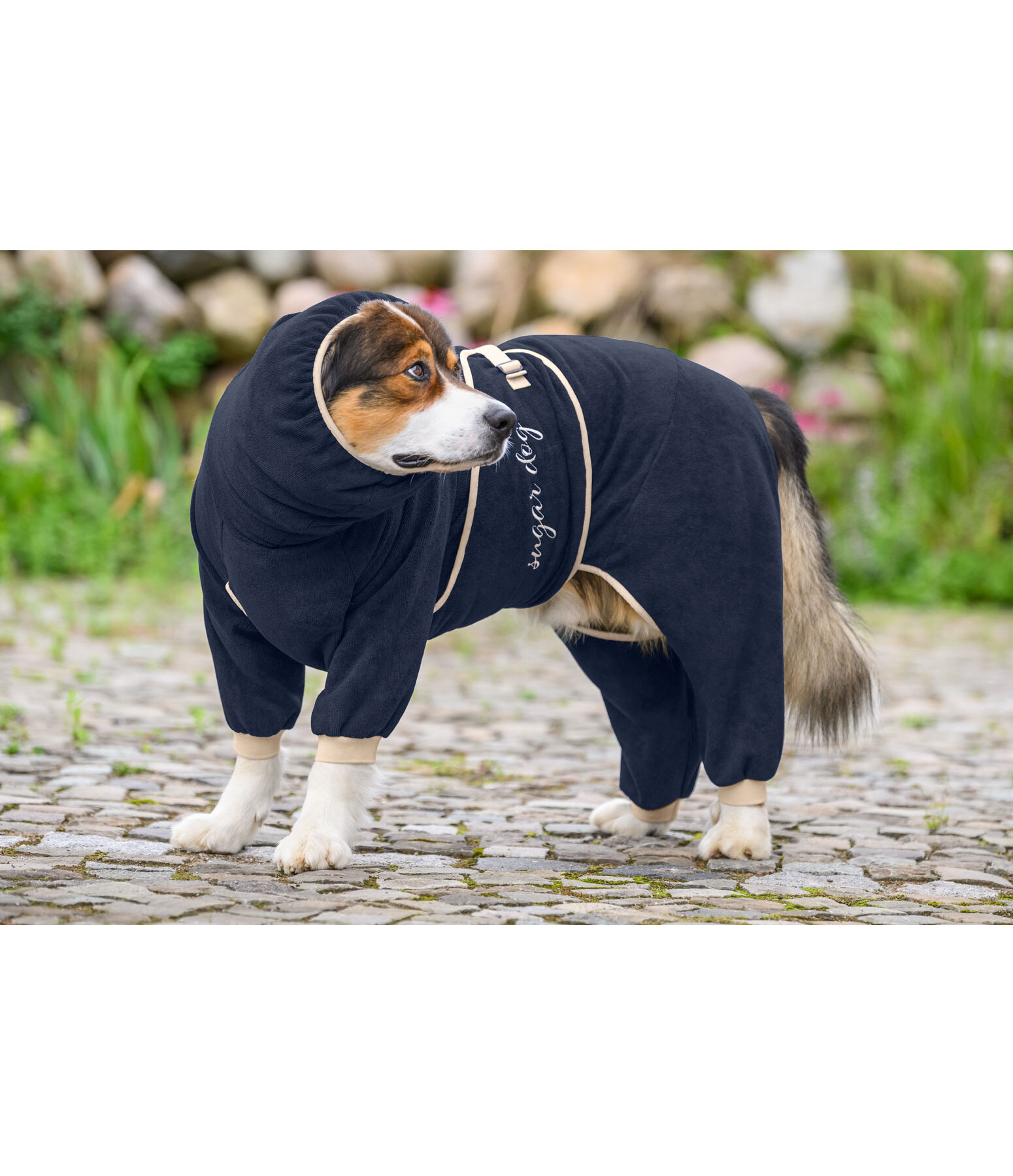 Dog Bathrobe Allover Dry