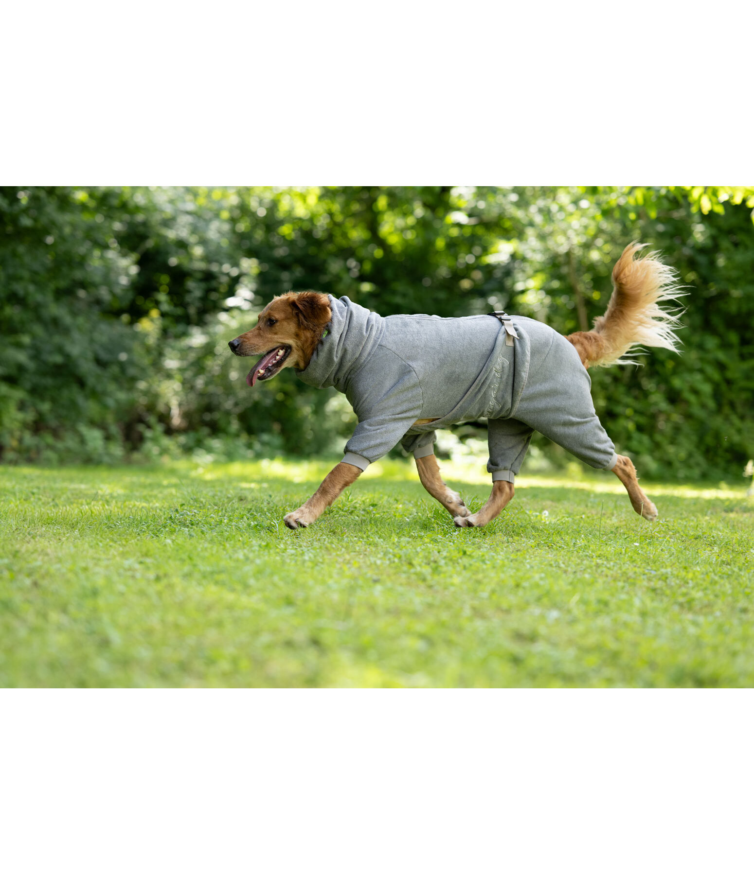 Dog Bathrobe All-Over Dry