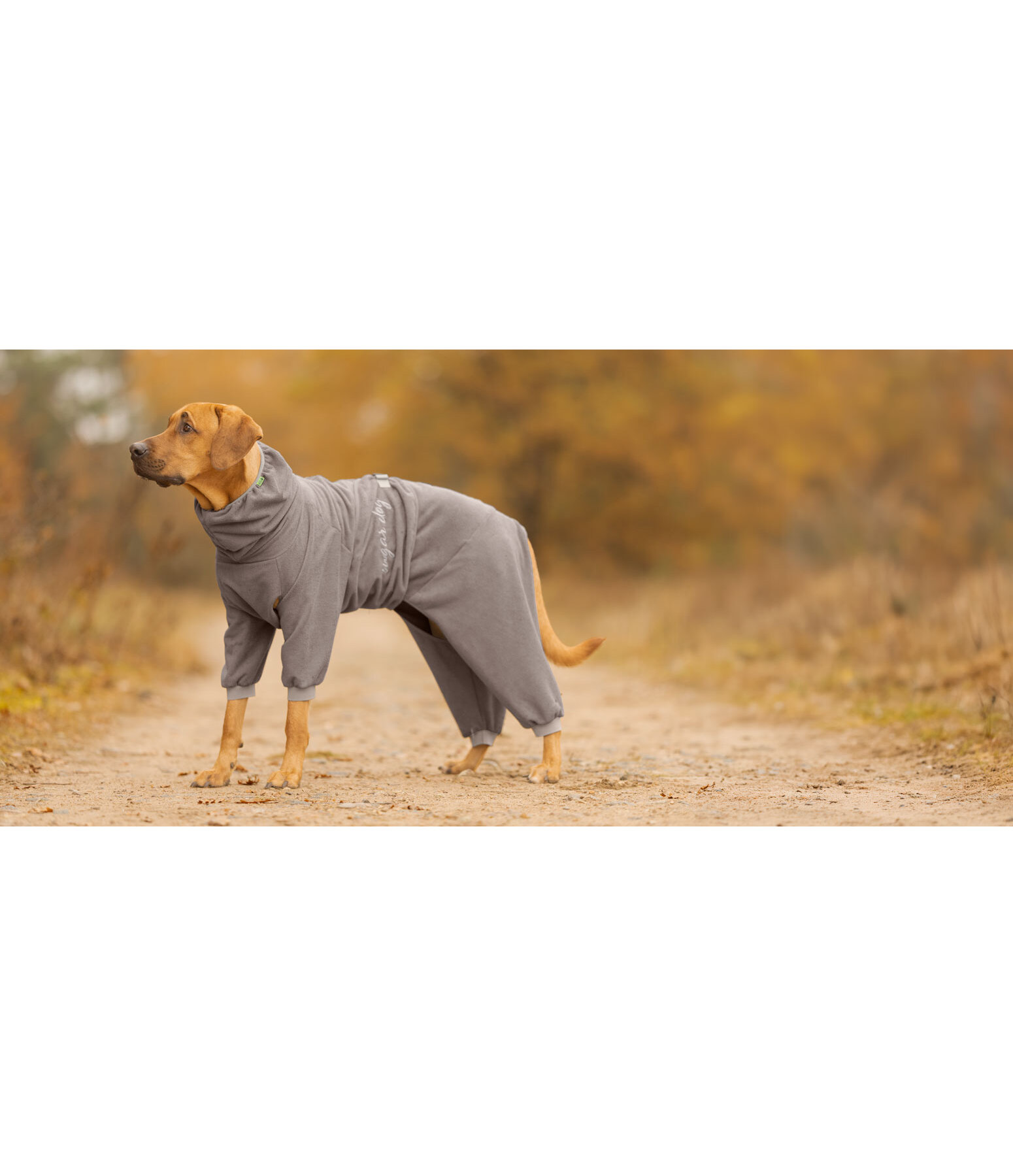 Dog Bathrobe All-Over Dry
