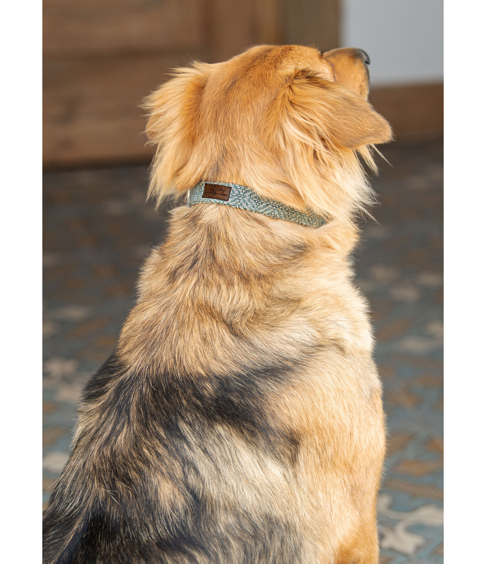 Dog Collar Tribal Love Dog Collars & Harnesses Kramer Equestrian