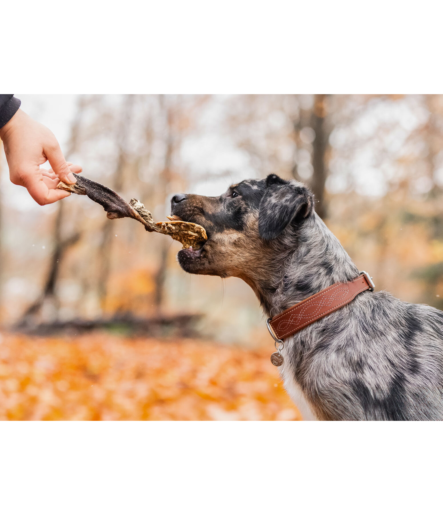 Beef Tripe Dog Snack