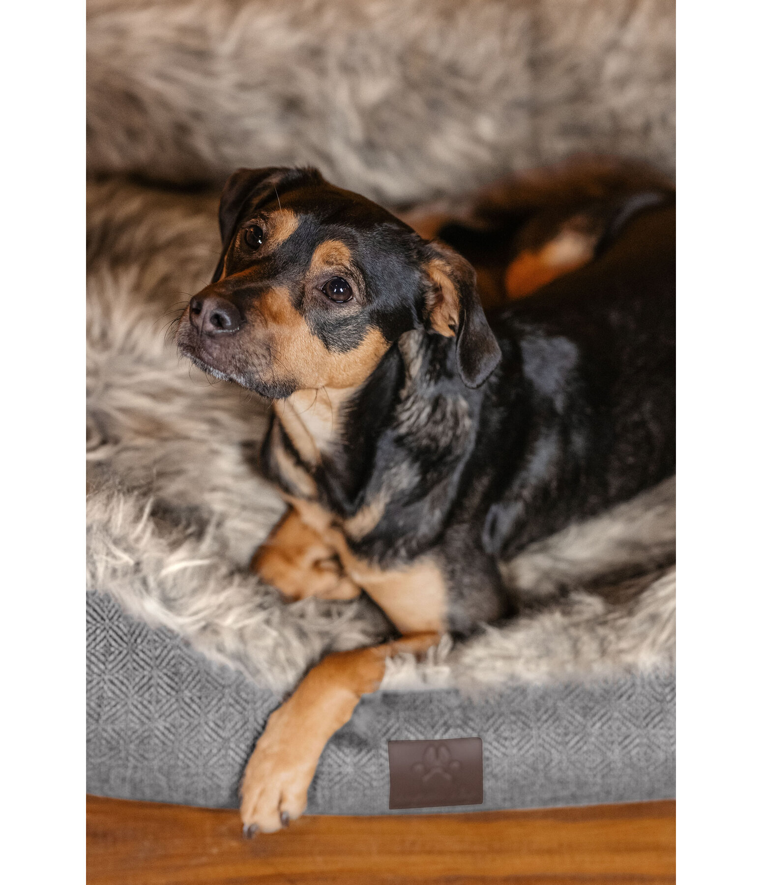 Faux Fur Dog Bed California Grizzly Kramer Equestrian