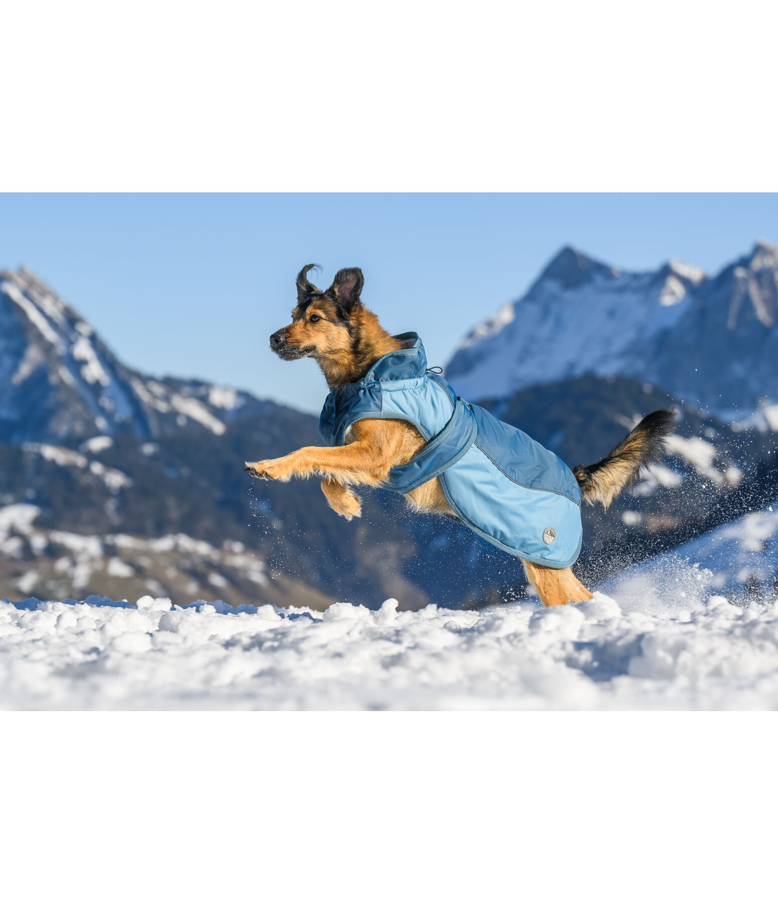 Winter Coat Glacier Bay with Teddy Fleece Lining, 100g