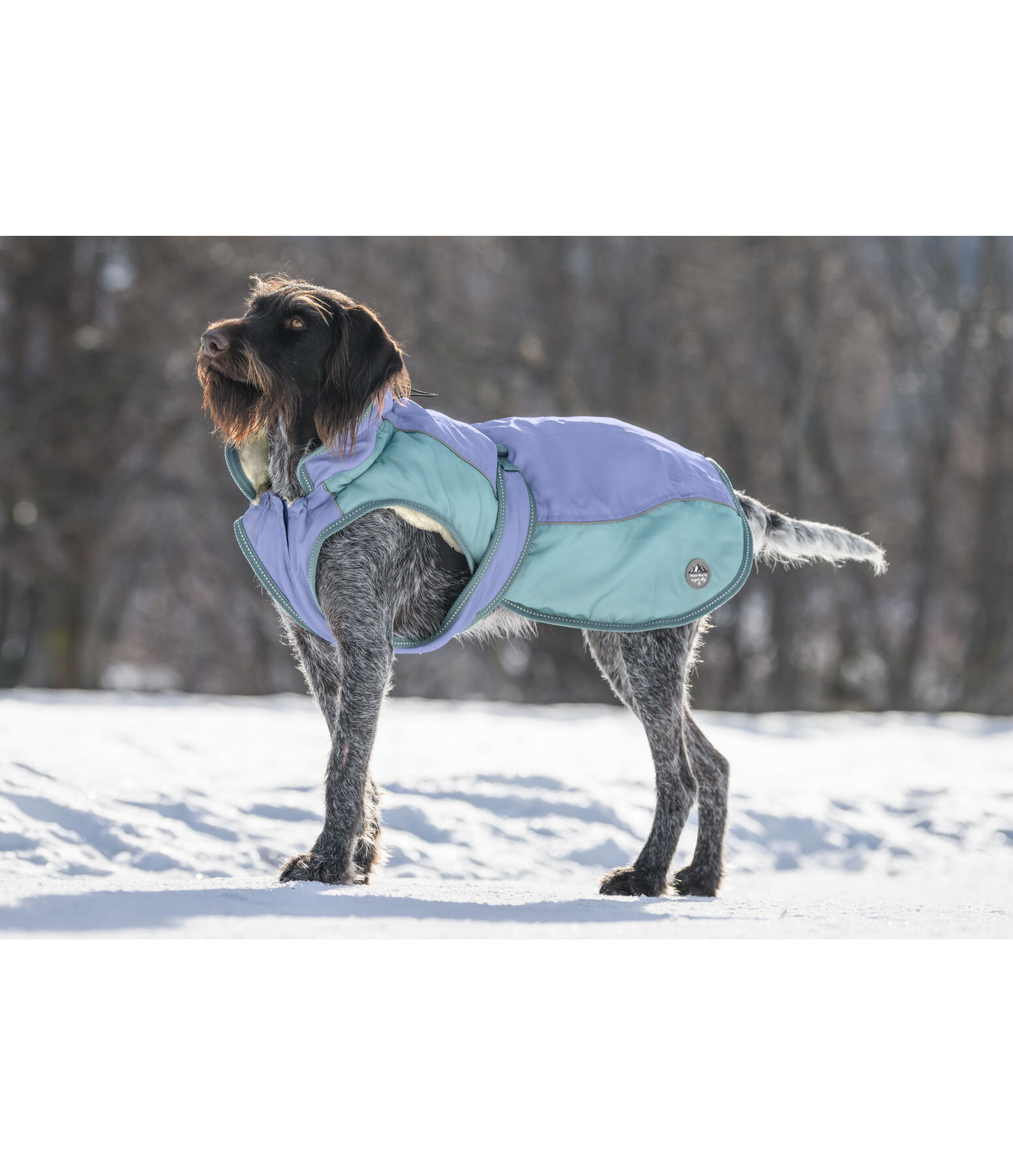 Winter Coat Glacier Bay with teddy fleece lining 100g