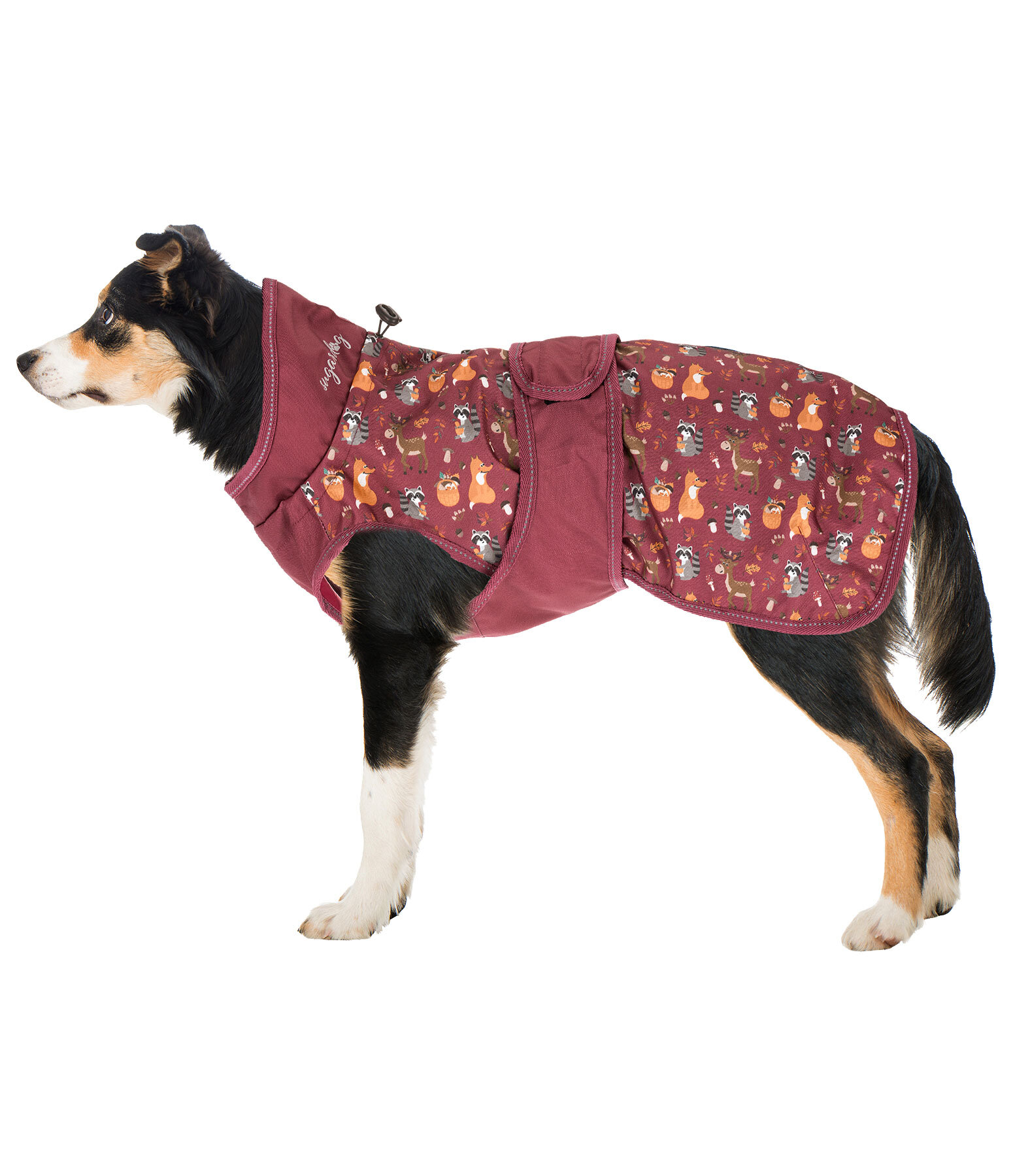 Rain Dog Coat Pumpkin Spice, 0g