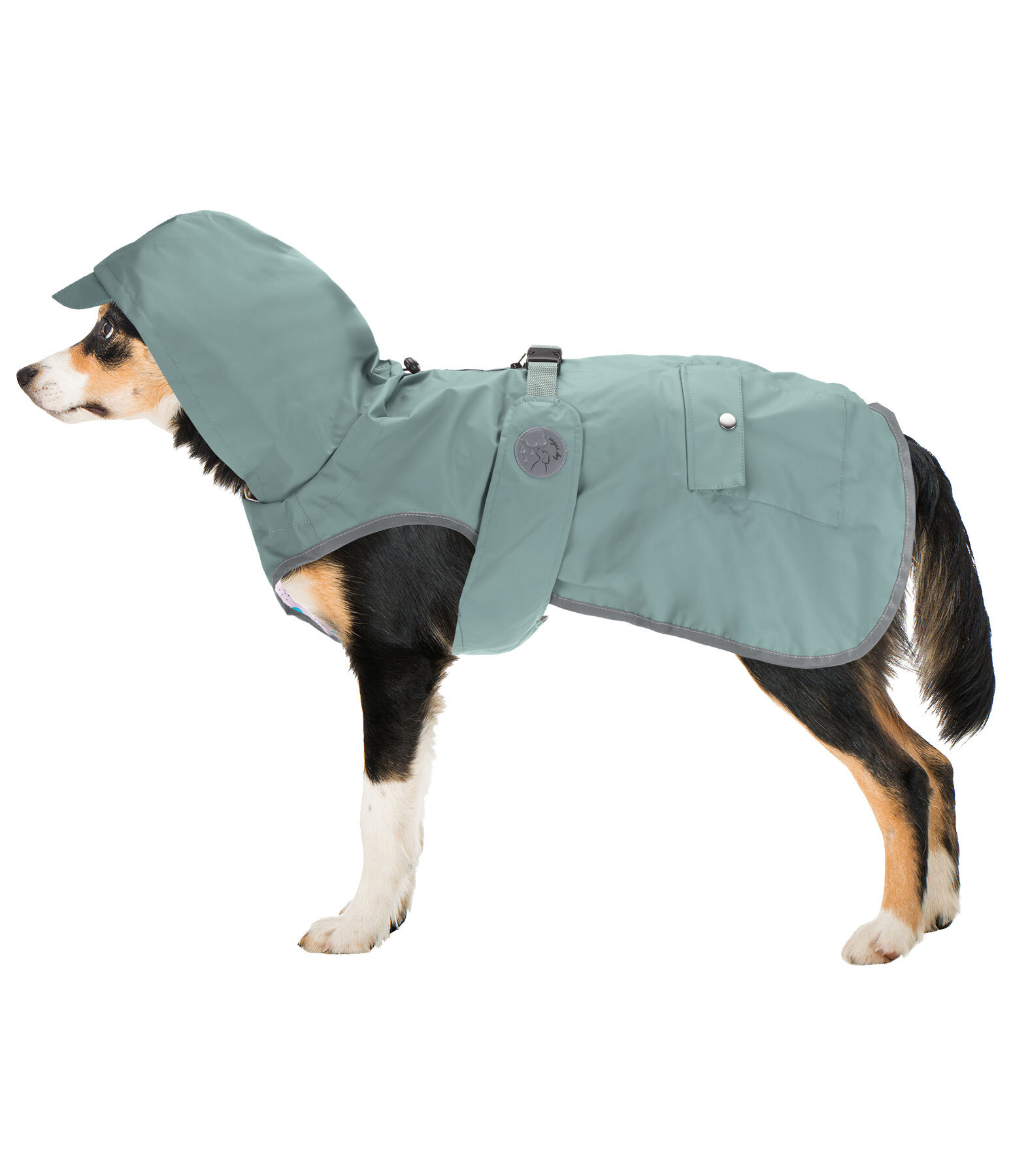 Charles river dog raincoat top