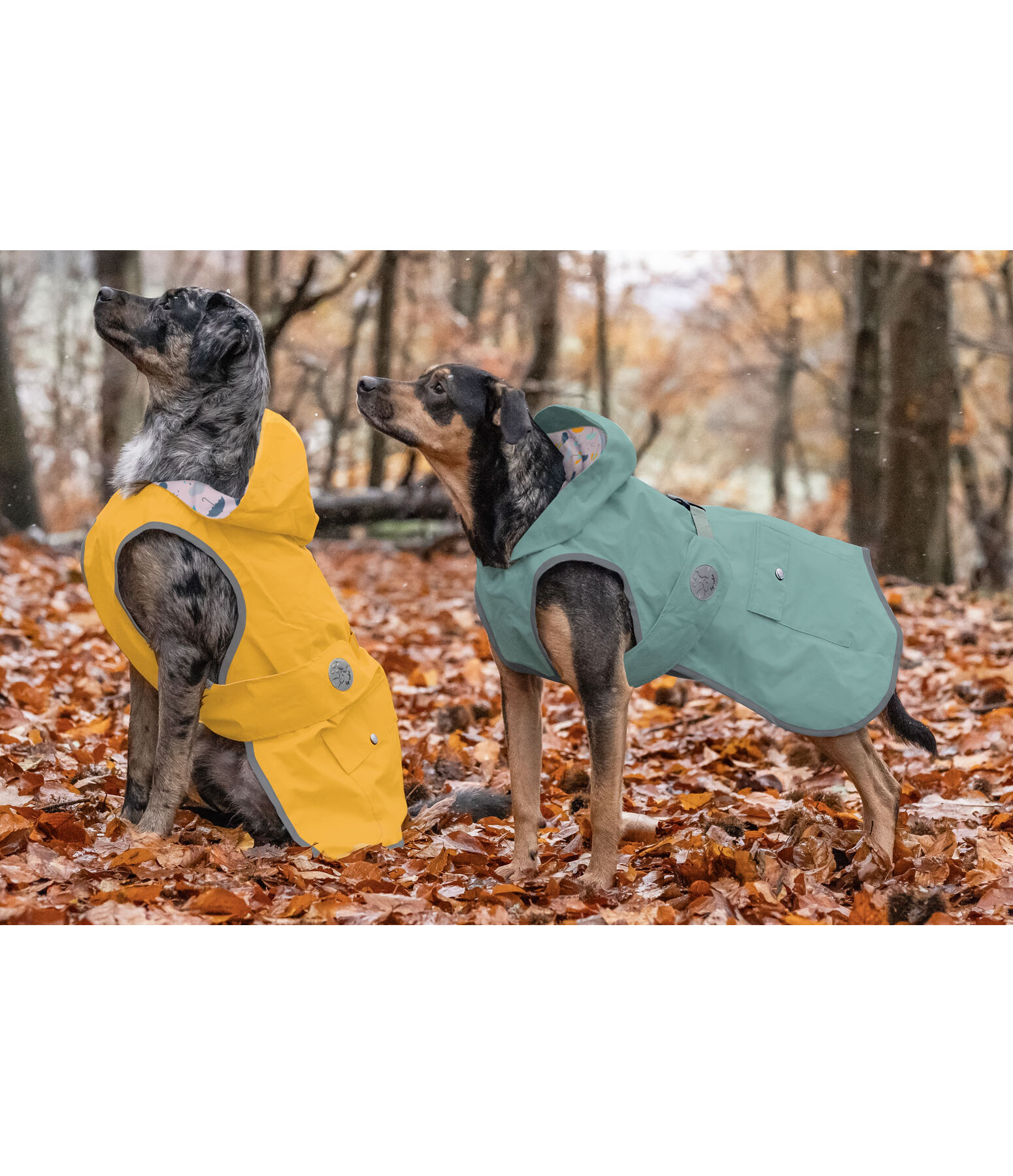 Rain Dog Coat Waterton Lakes, 0g