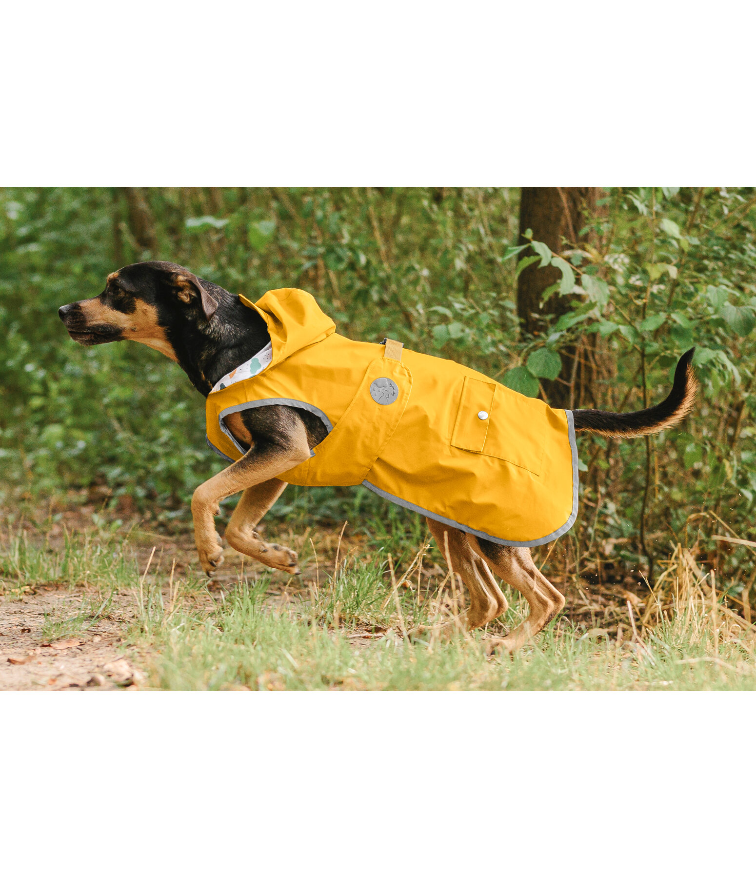 Rain Dog Coat Waterton Lakes, 0g